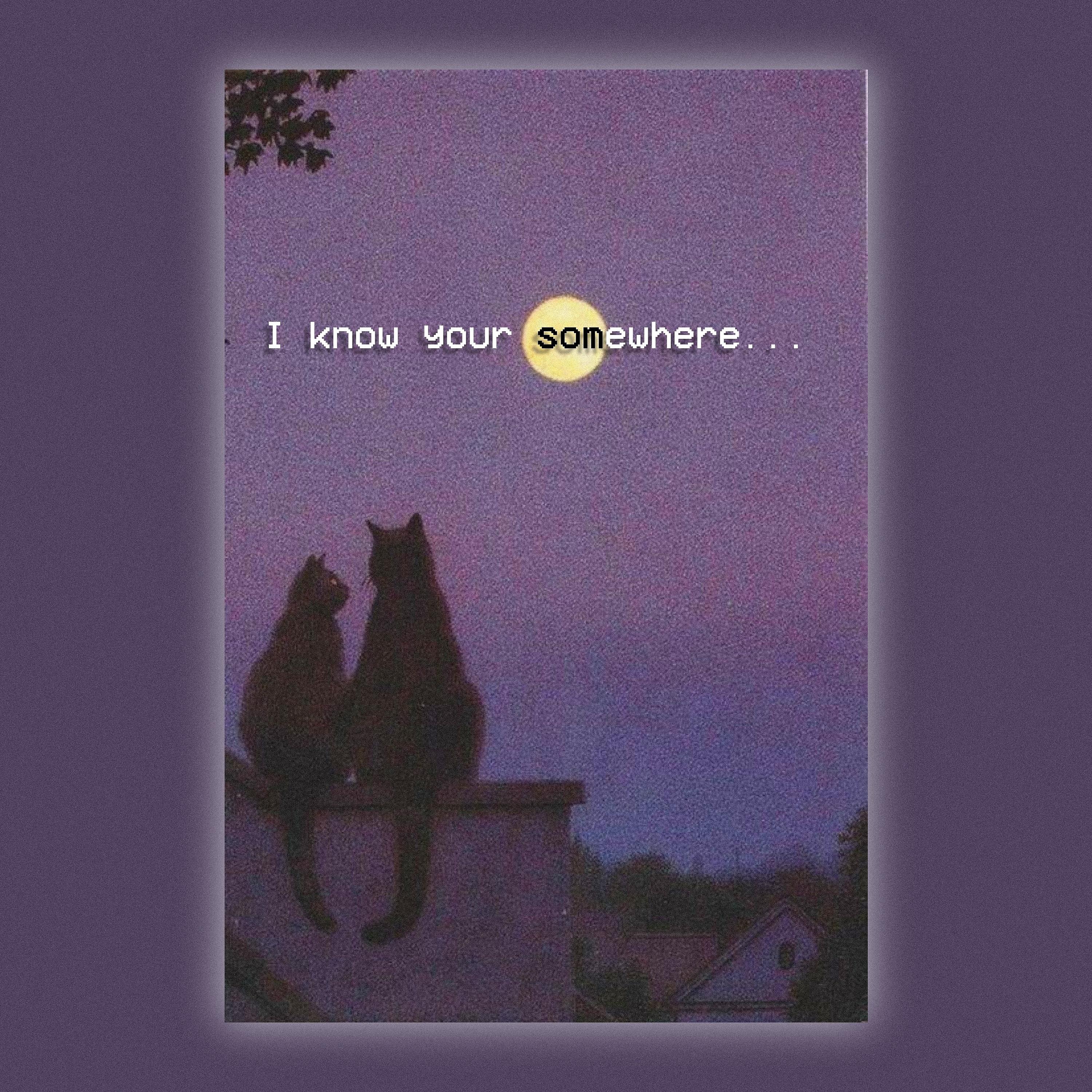 Постер альбома I Know You're Somewhere