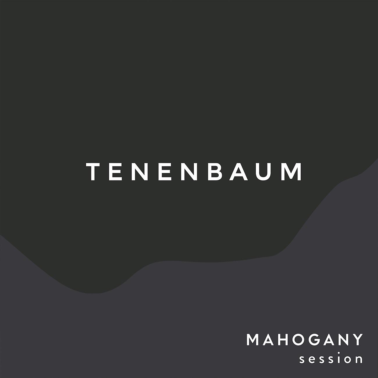 Постер альбома Tenenbaum