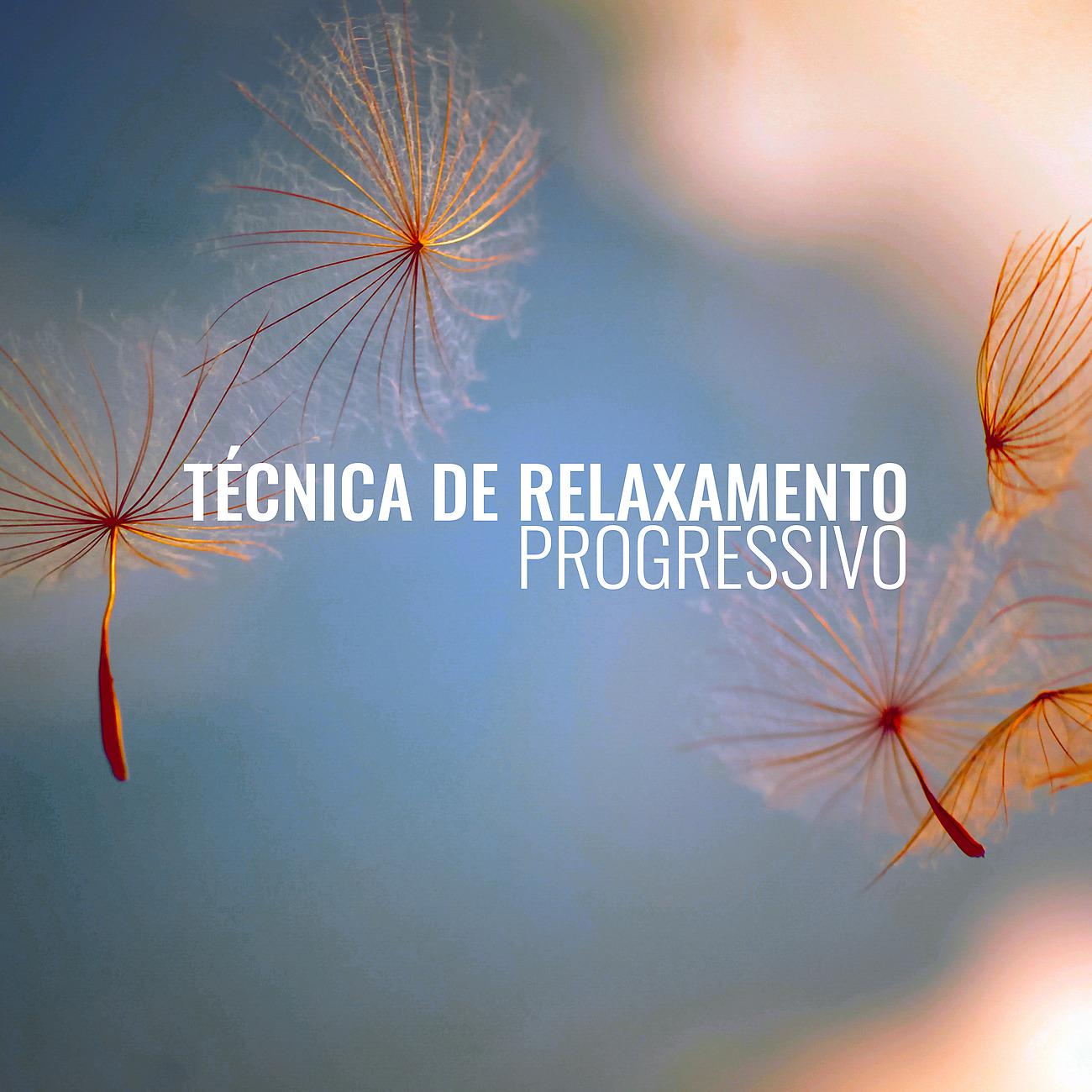 Постер альбома Técnica de Relaxamento Progressivo