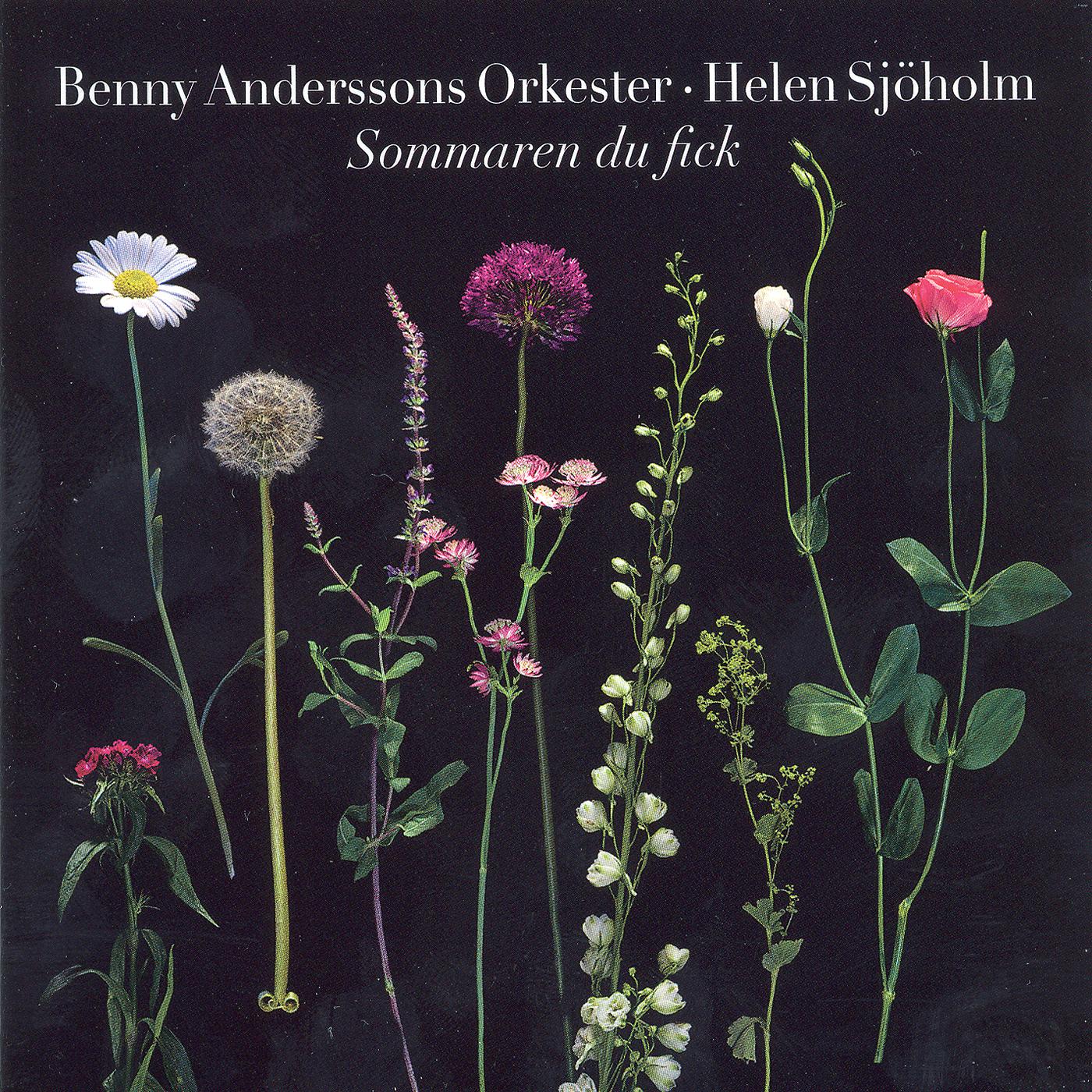 Benny Anderssons Orkester - Sommaren du fick