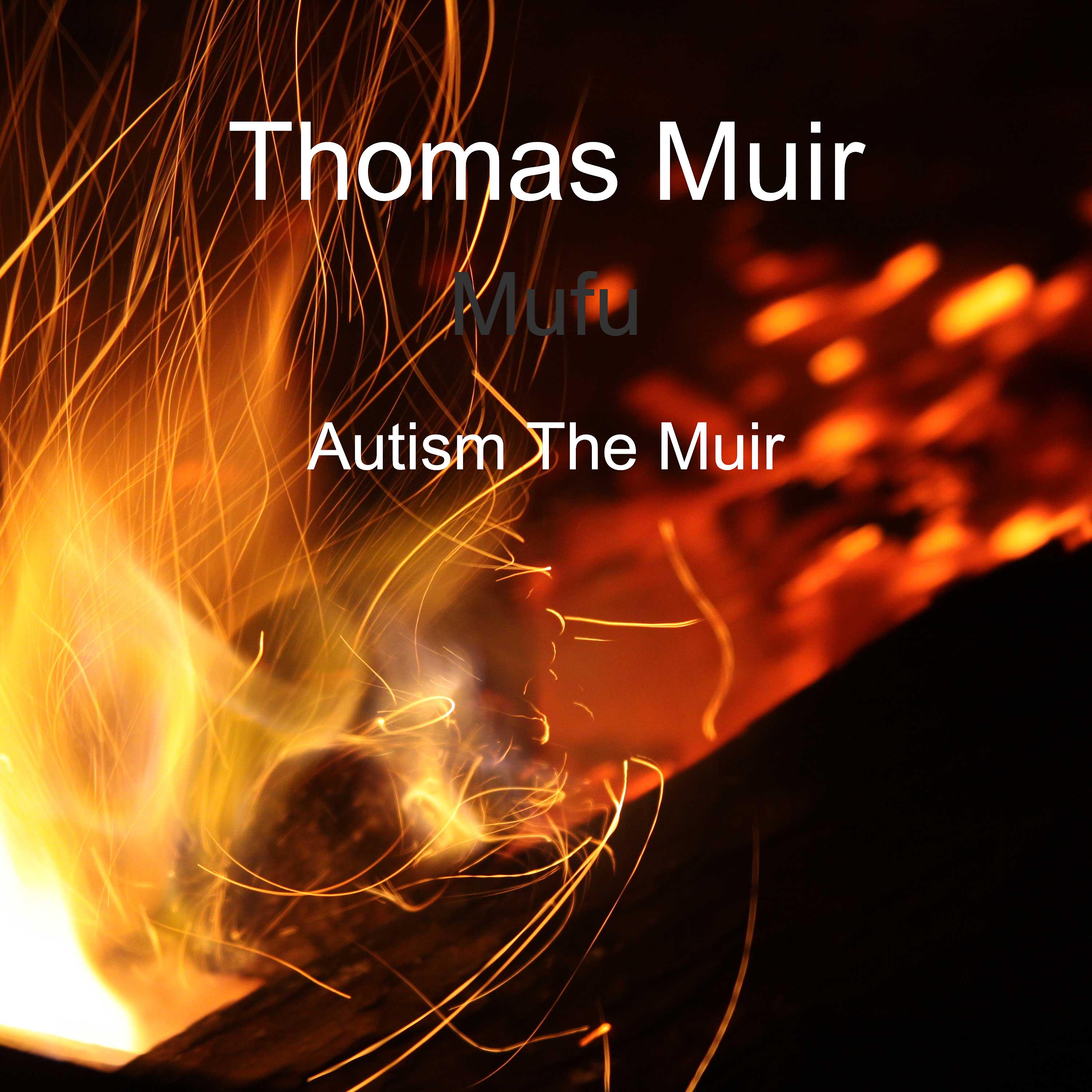 Постер альбома Mufu