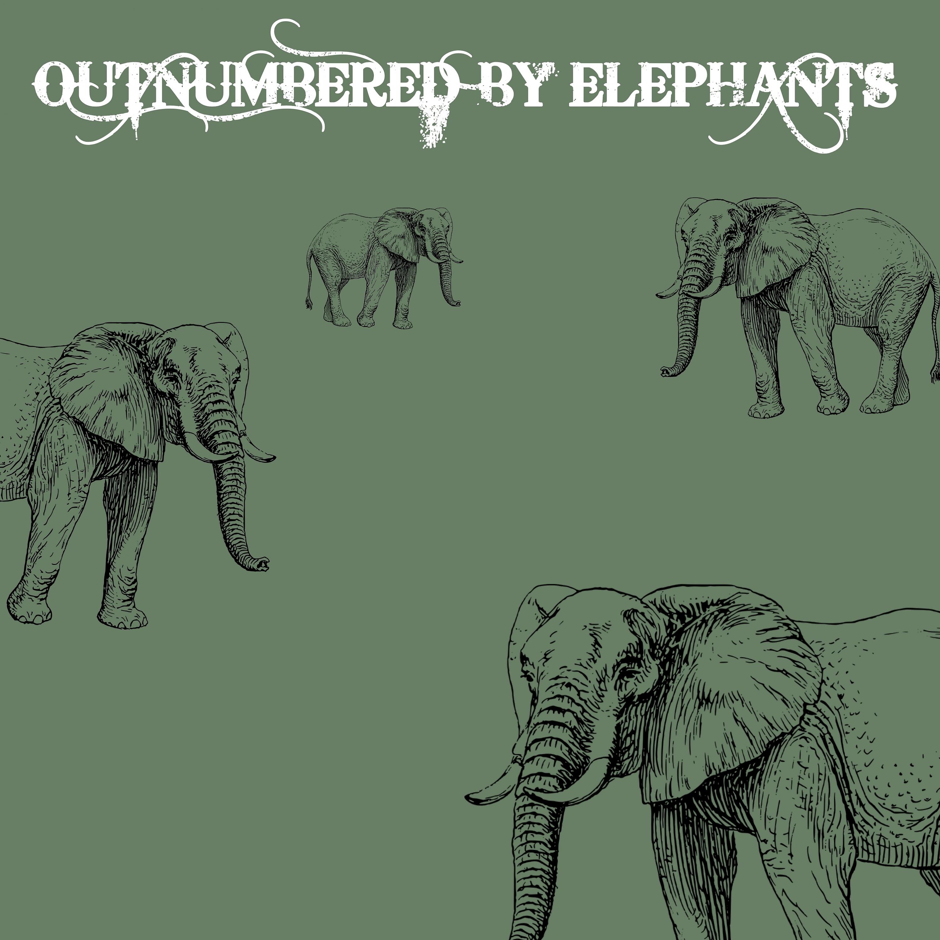 Постер альбома Outnumbered by Elephants