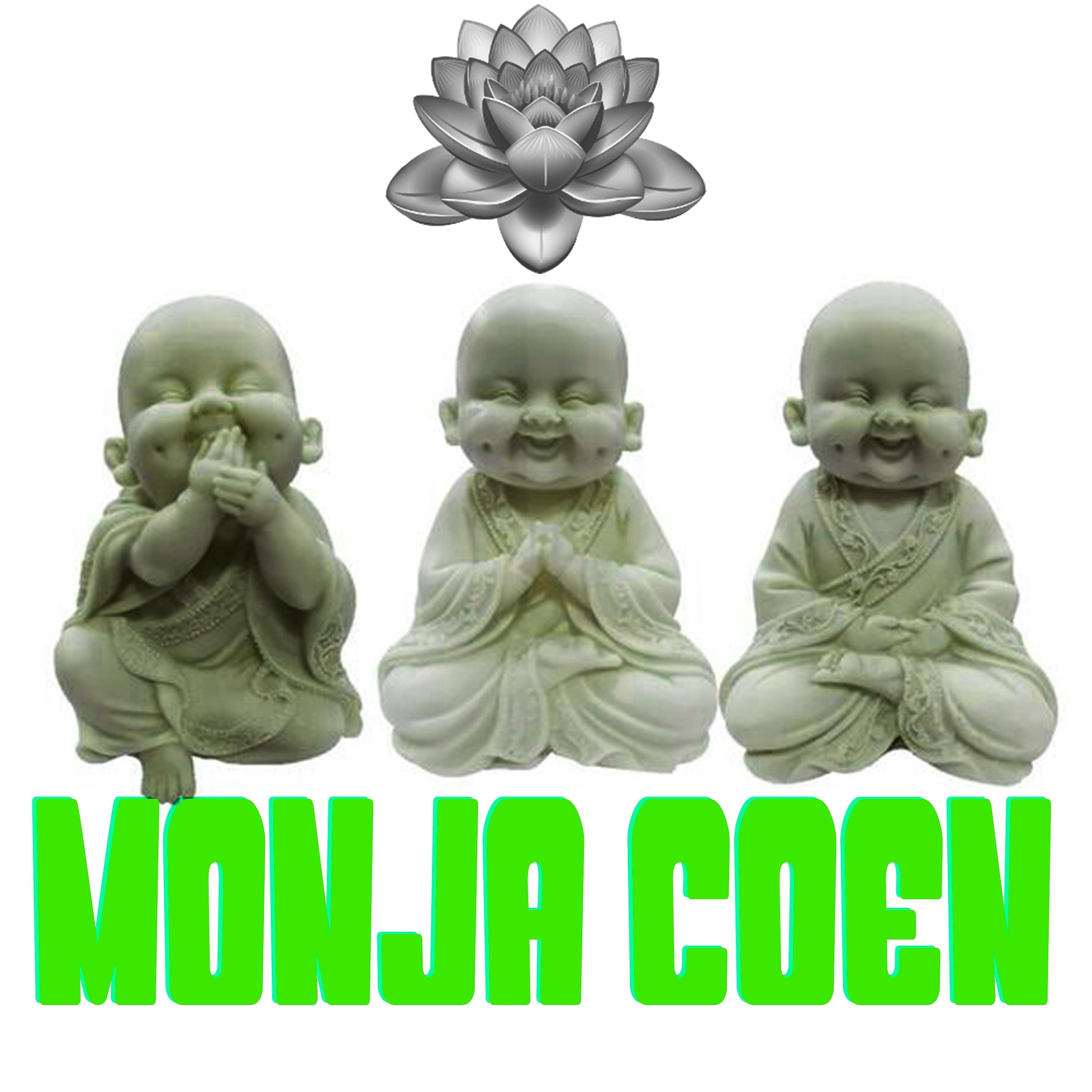 Постер альбома Monja Coen
