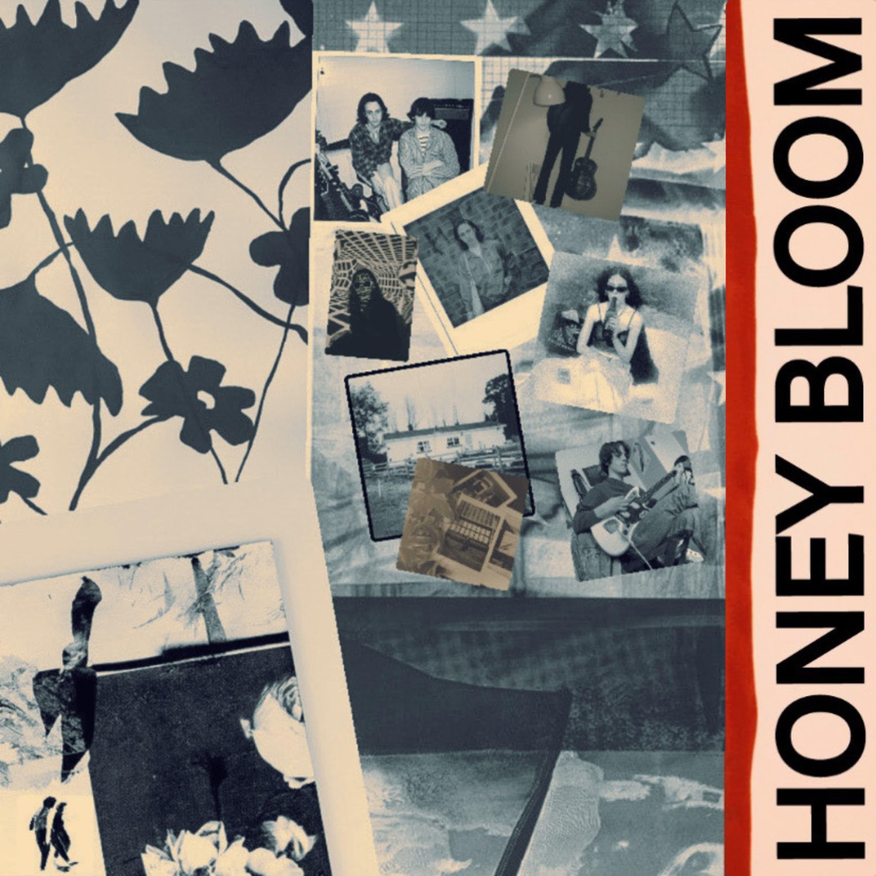 Постер альбома Honey Bloom