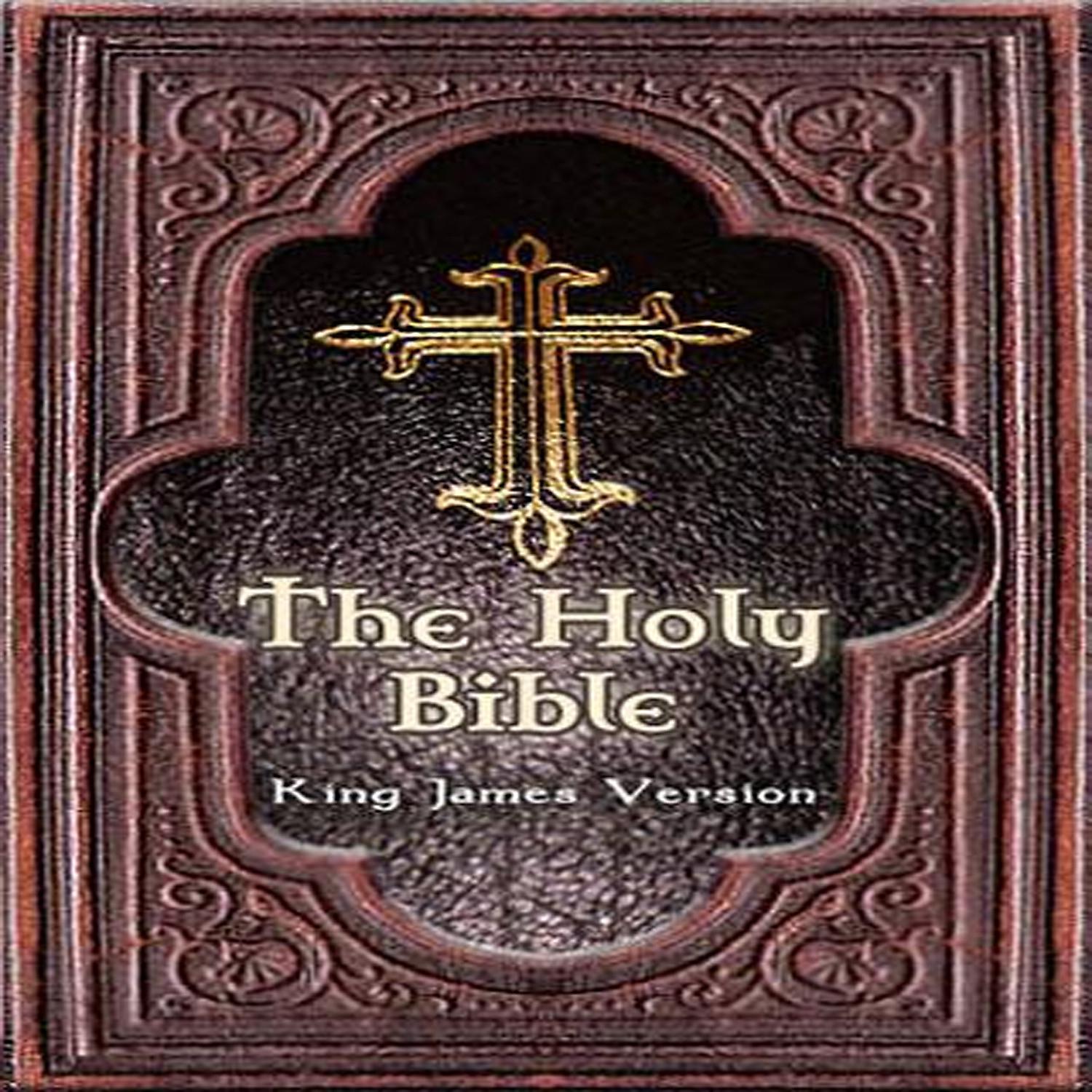 Постер альбома King James The Holy Bible With Music Leviticus