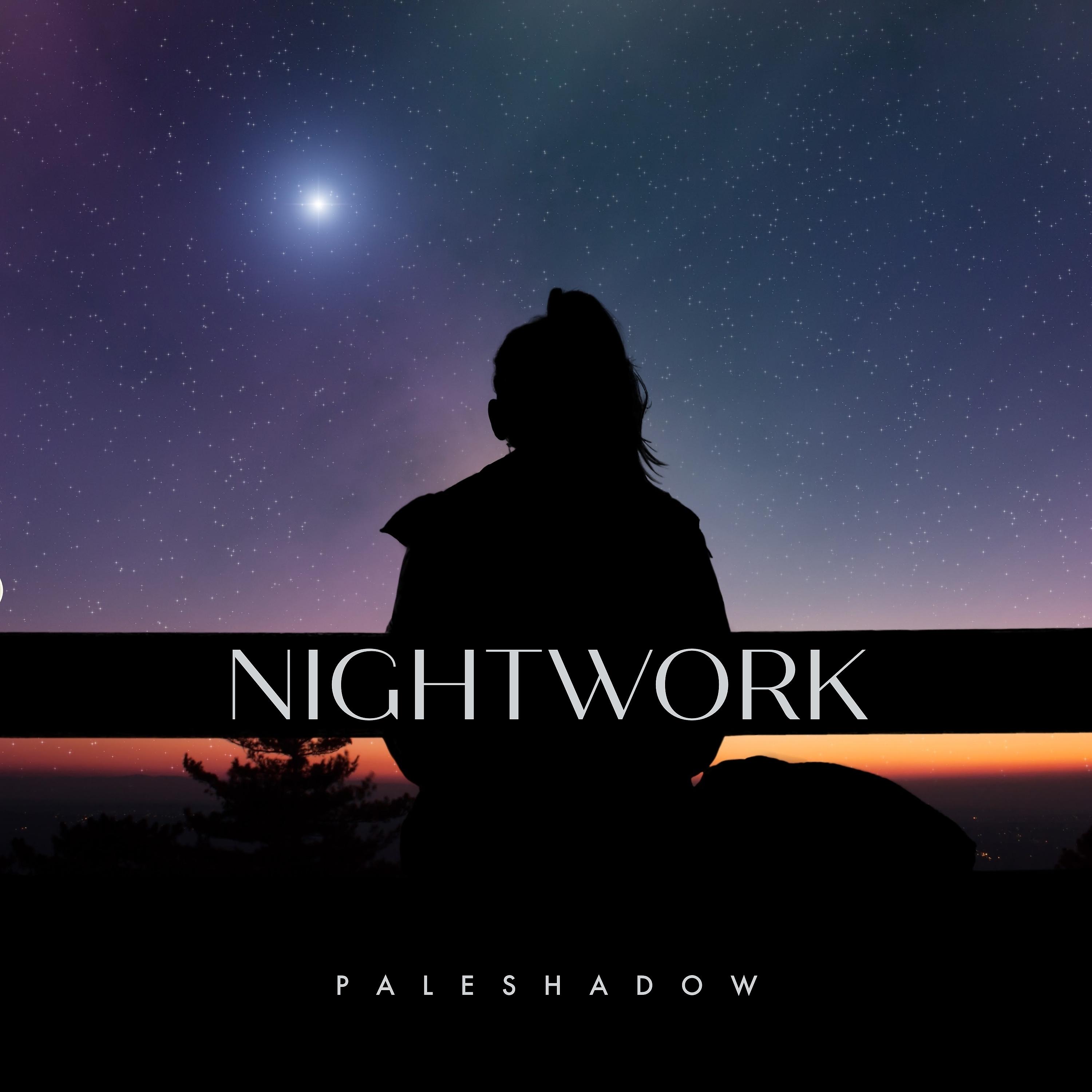 Постер альбома Night Work