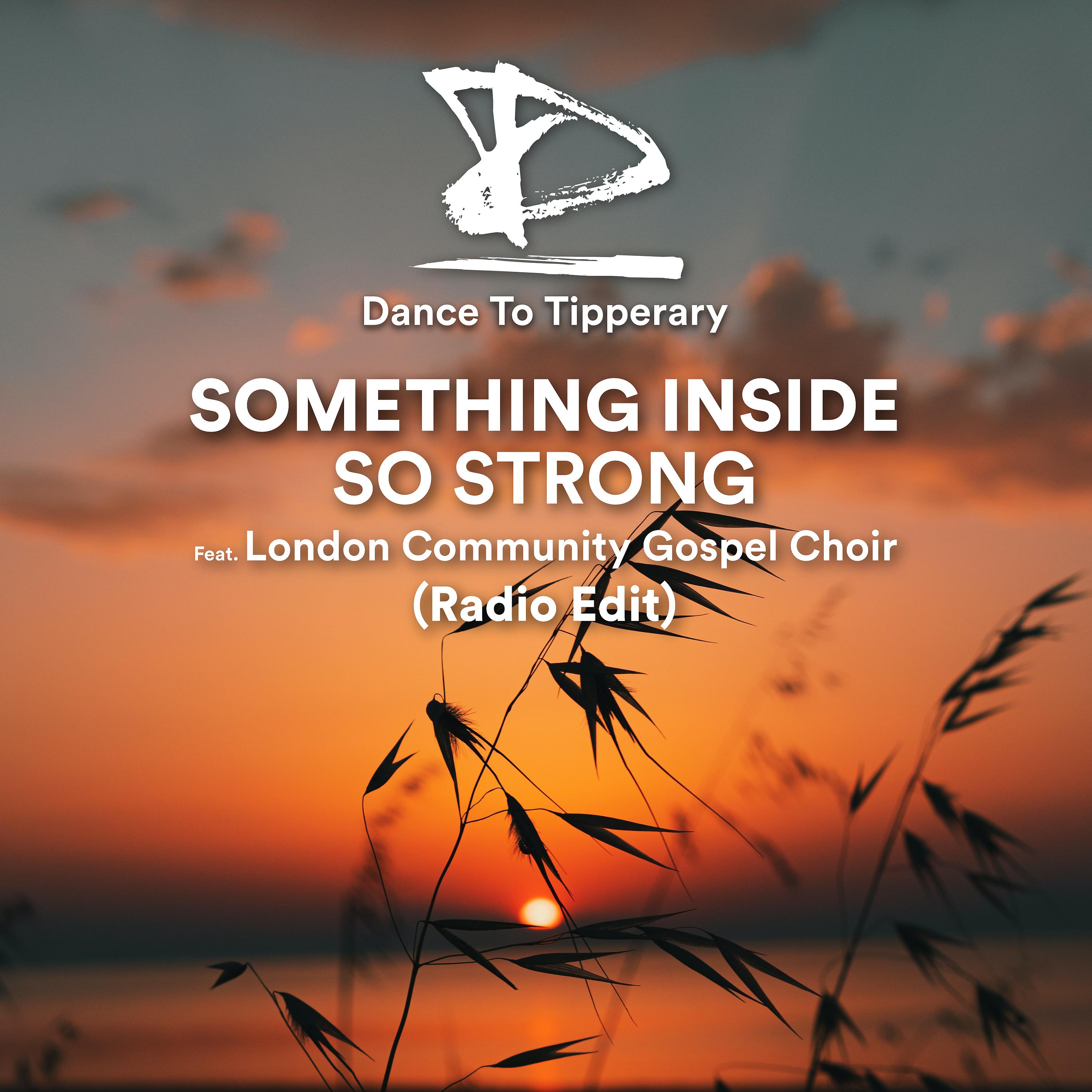 Постер альбома Something Inside So Strong (feat. London Community Gospel Choir) (Radio Edit)