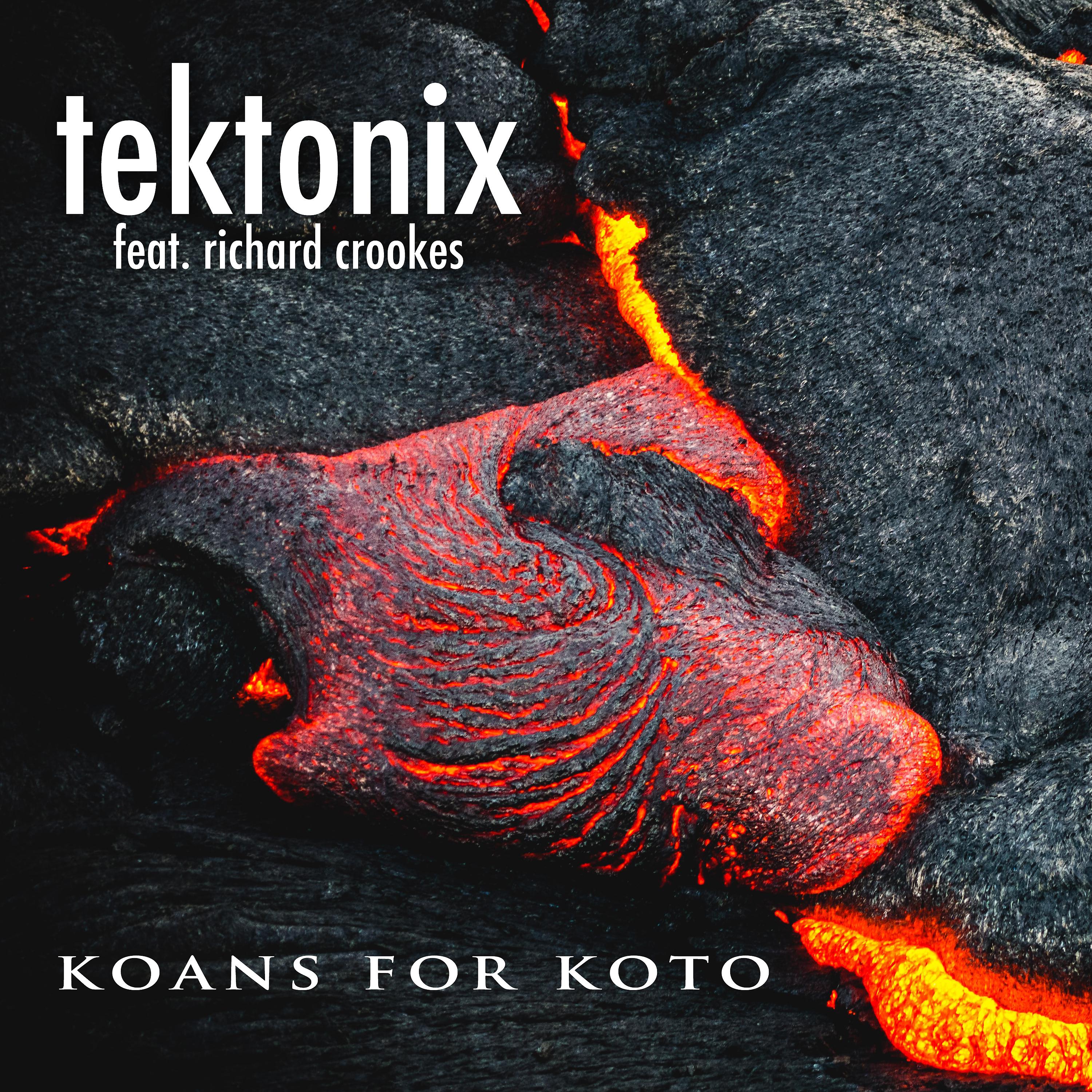 Постер альбома Koans For Koto