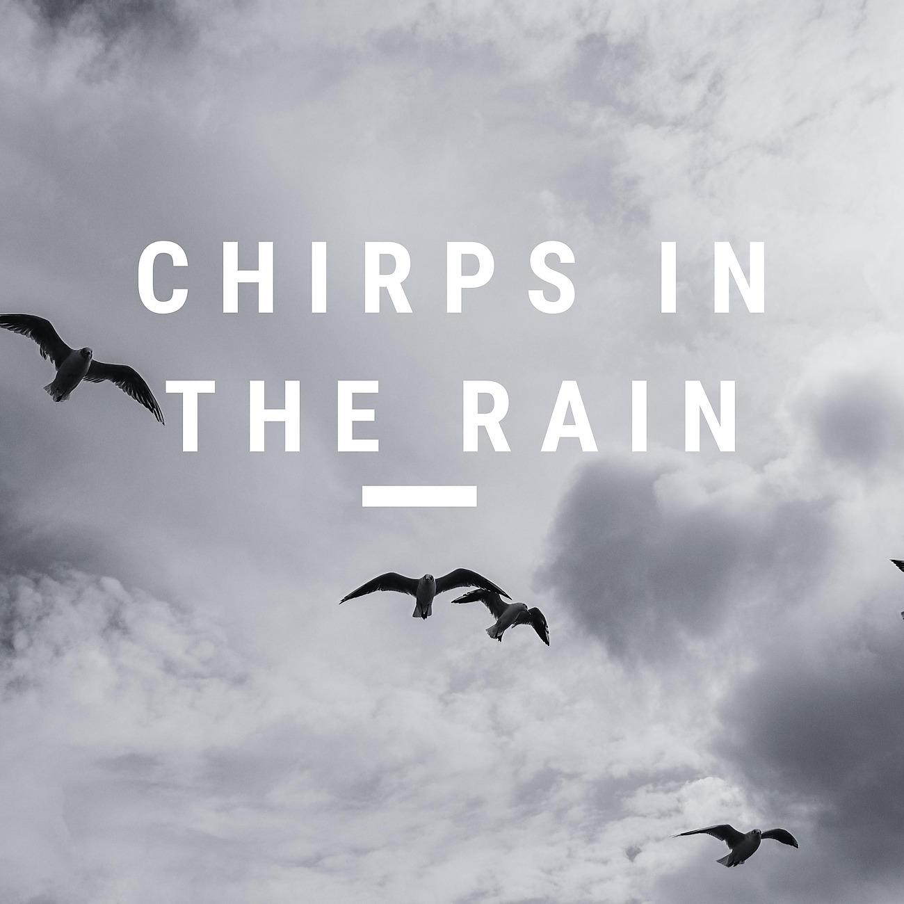 Постер альбома Chirps In The Rain