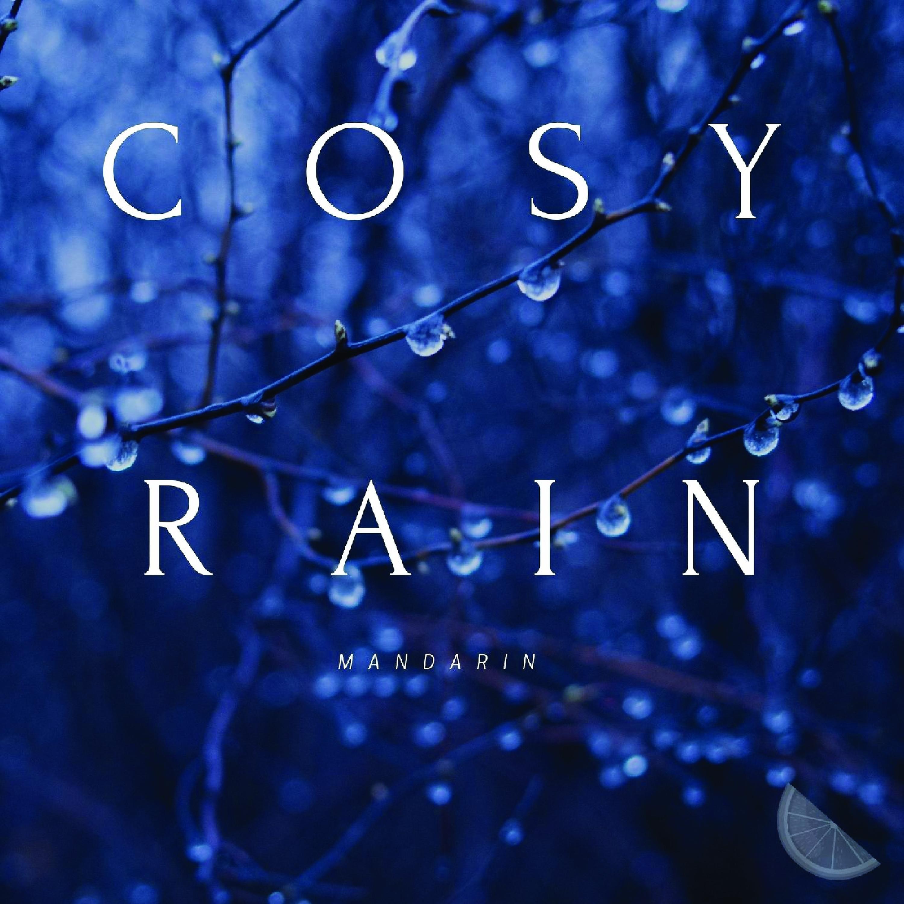 Постер альбома Cosy Rain
