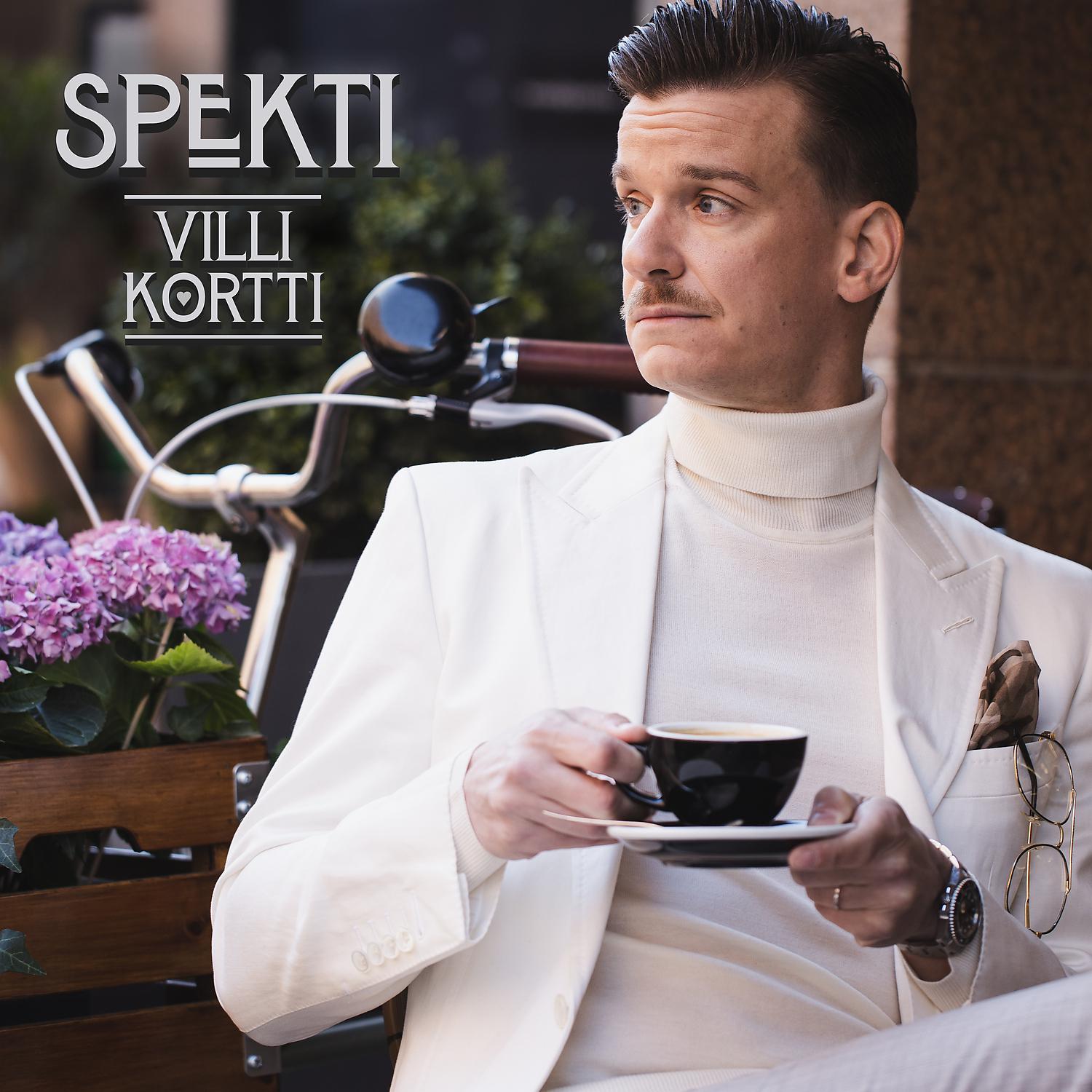Постер альбома Villi kortti