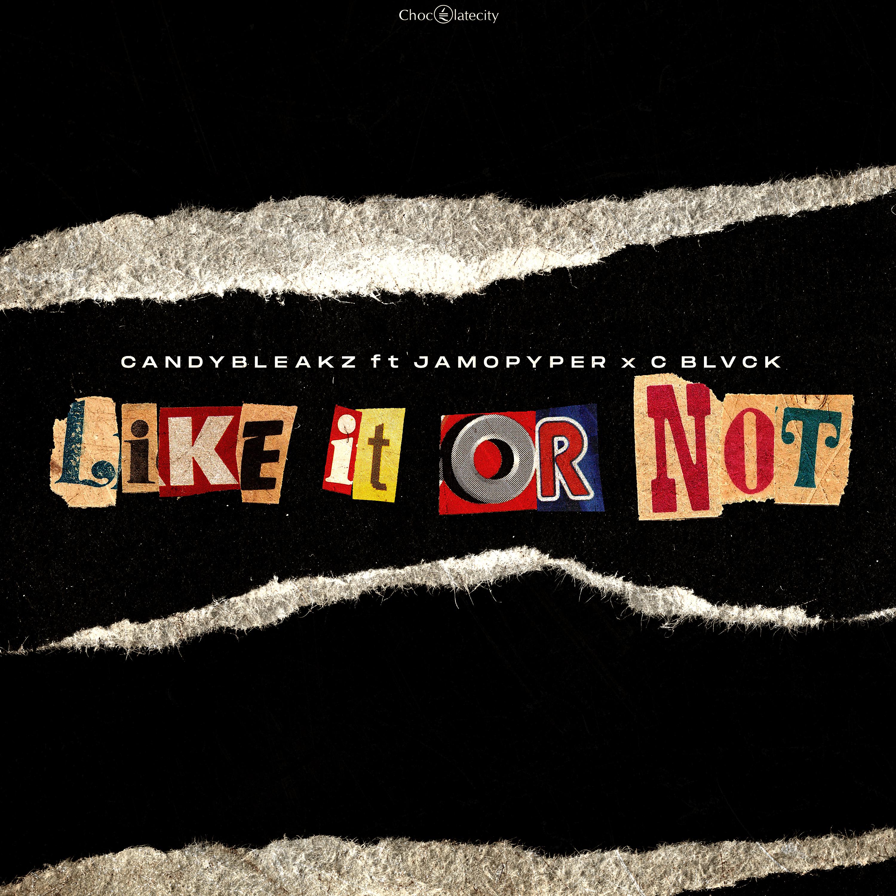 Постер альбома Like It Or Not (feat. Jamopyper & C Blvck)