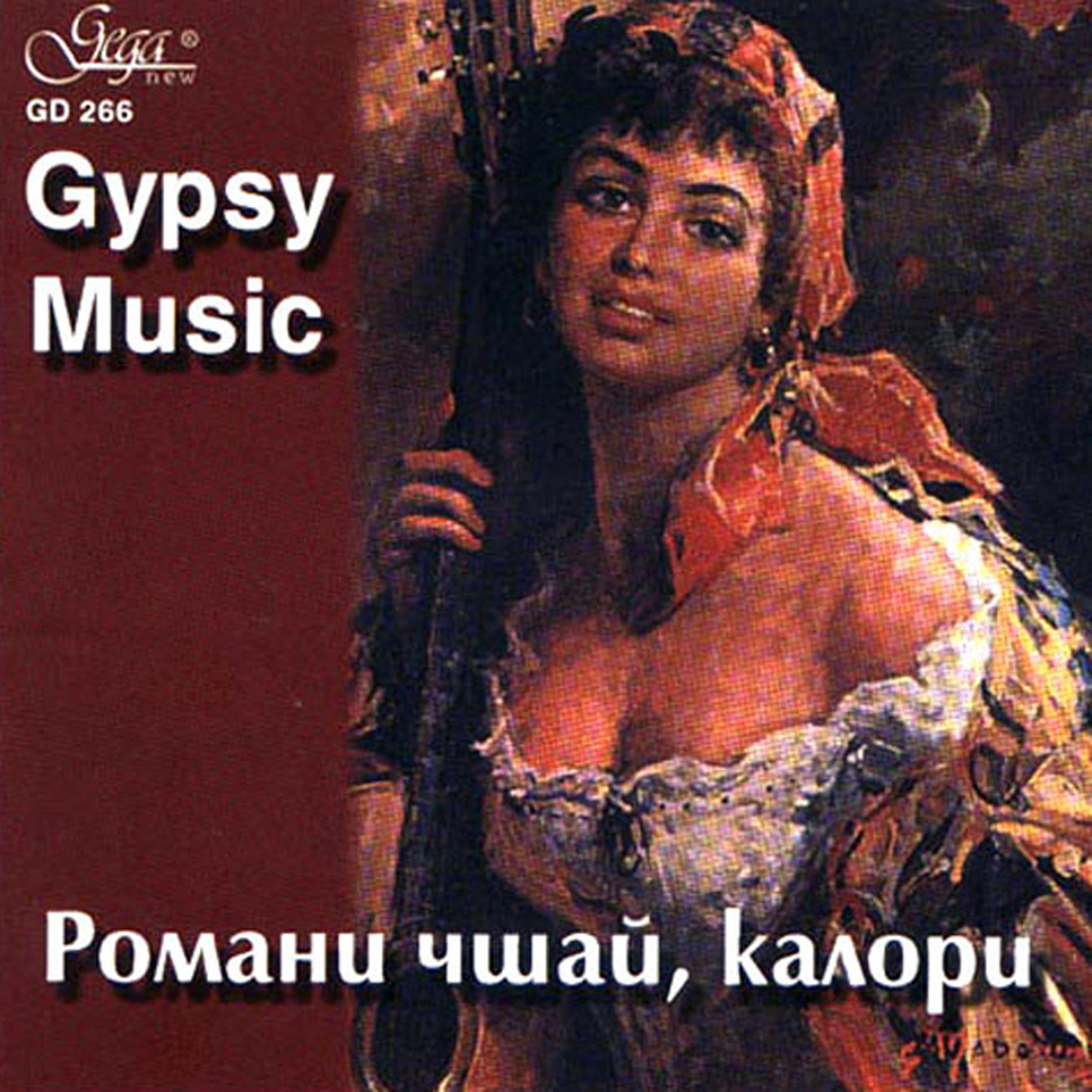 Постер альбома Gypsy Music
