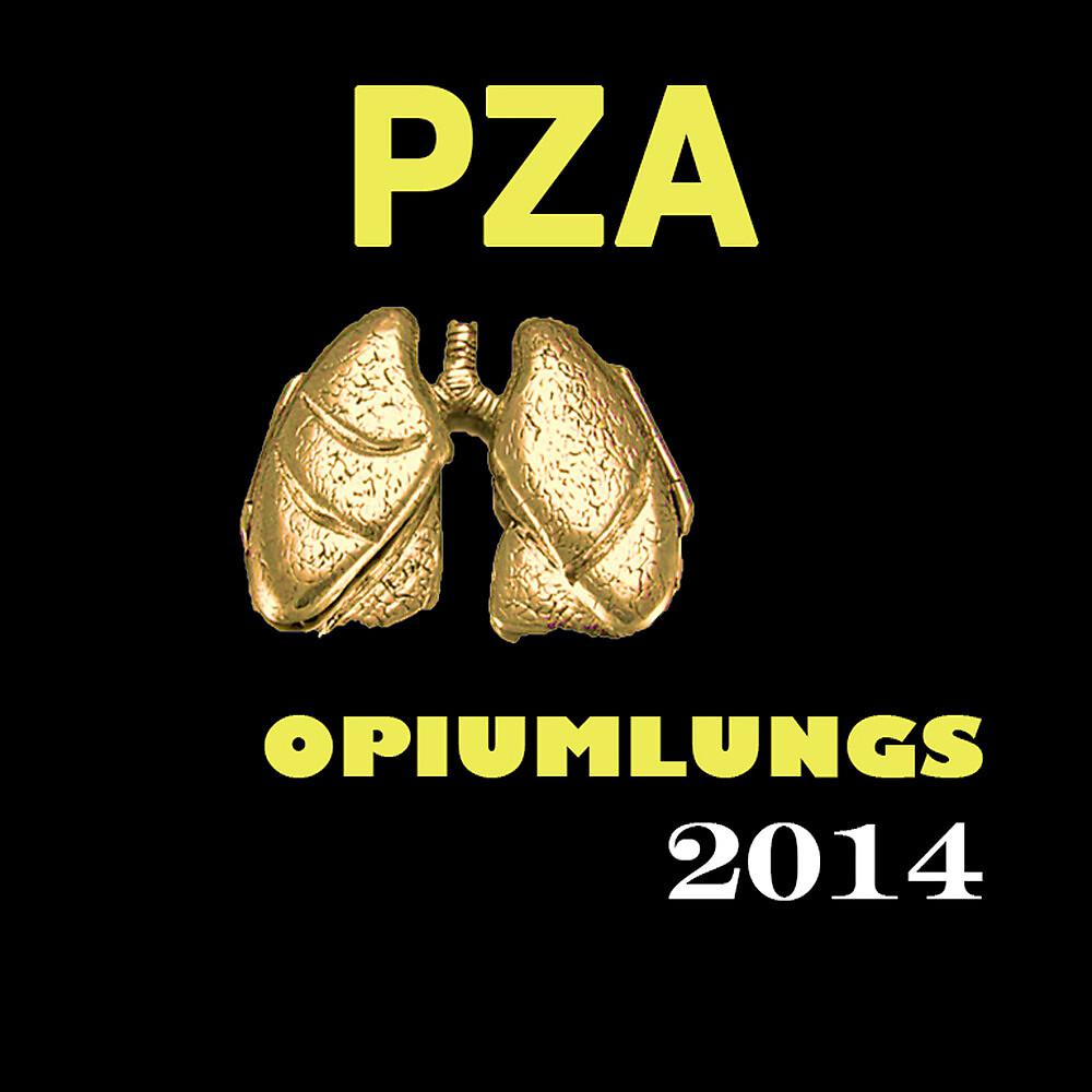 Постер альбома OPIUM LUNGS 2014