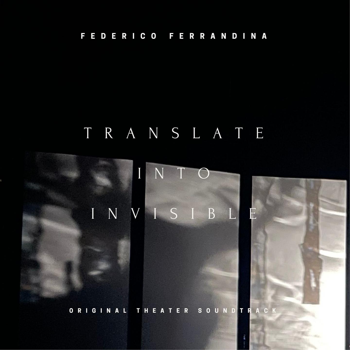 Постер альбома Translate Into Invisible