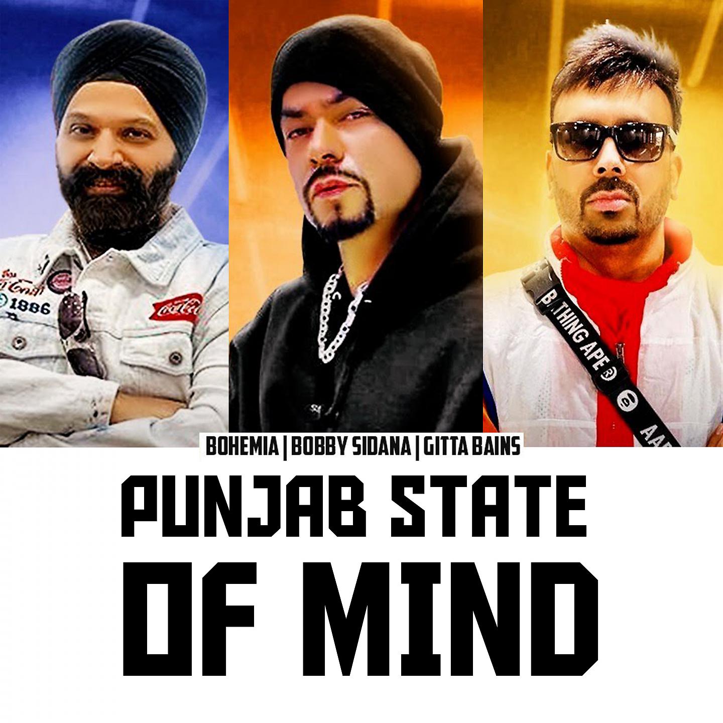 Постер альбома PUNJABI STATE OF MIND