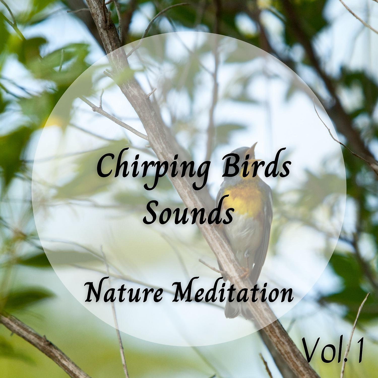 Постер альбома Nature Meditation: Chirping Birds Sounds Vol. 1