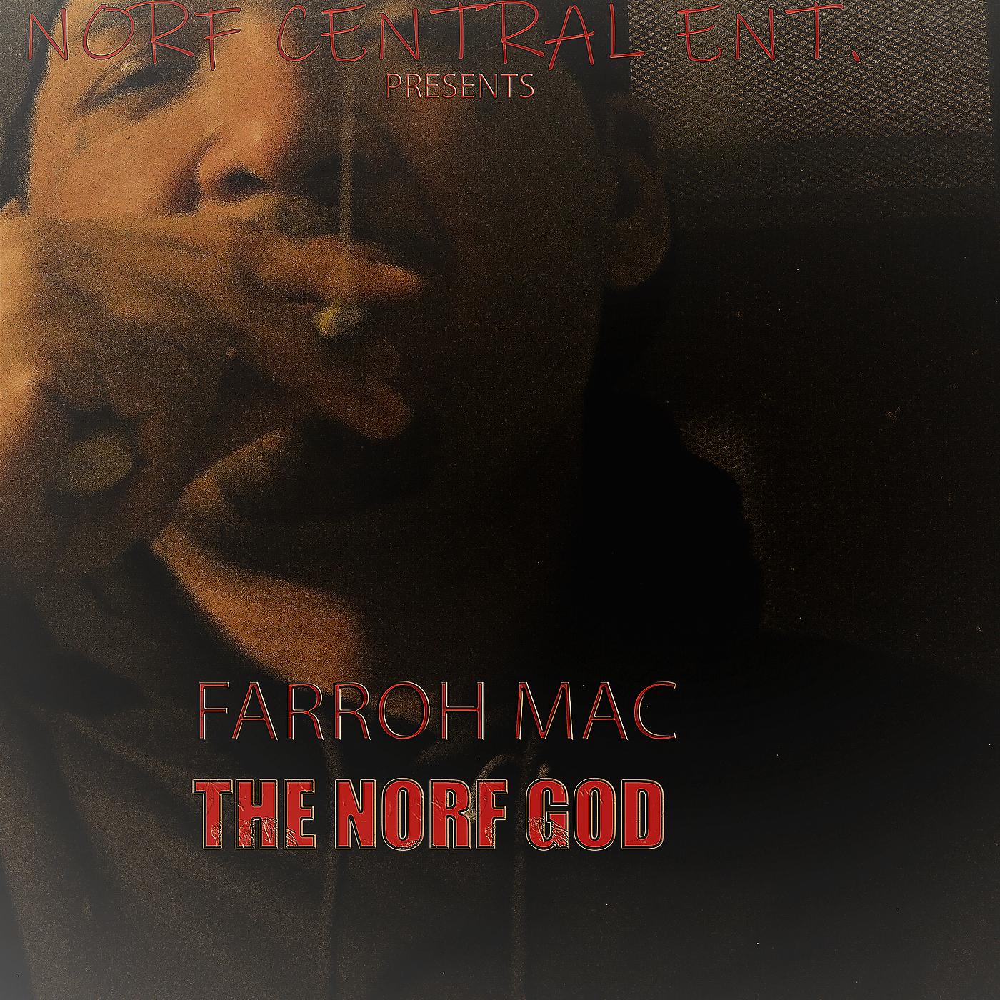 Постер альбома The Norf God