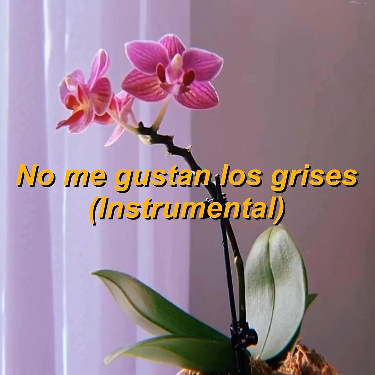 Постер альбома No me gustan los grises (Instrumental)