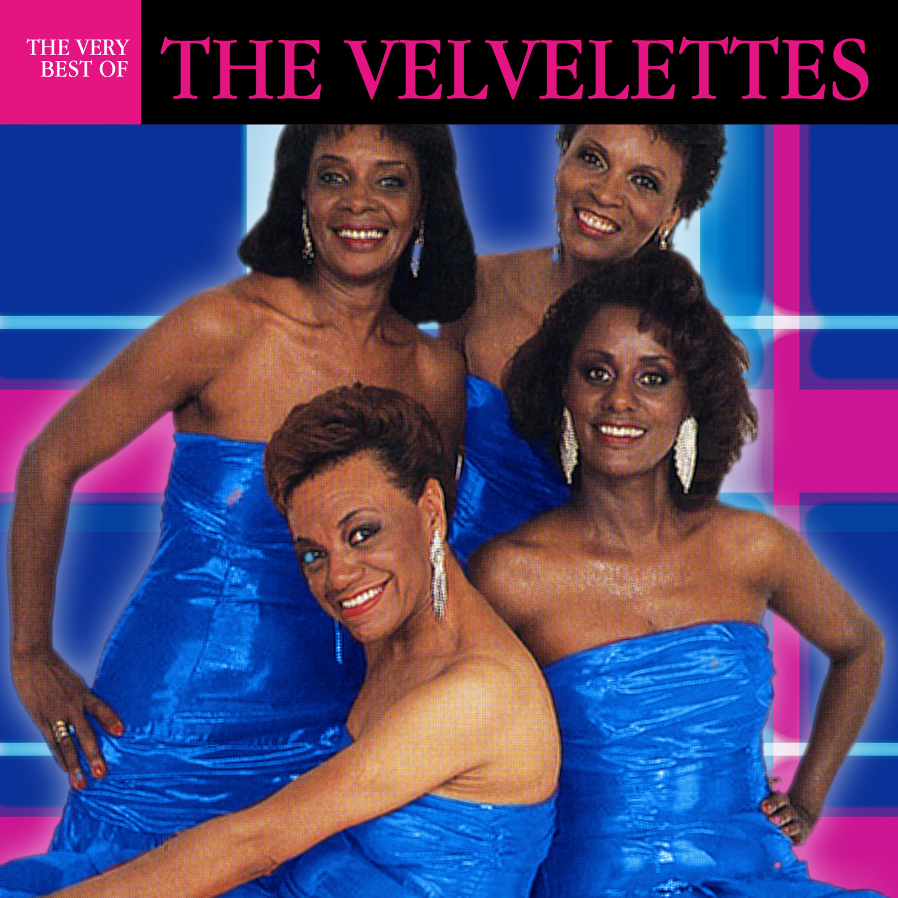 Постер альбома The Very Best Of The Valvelettes