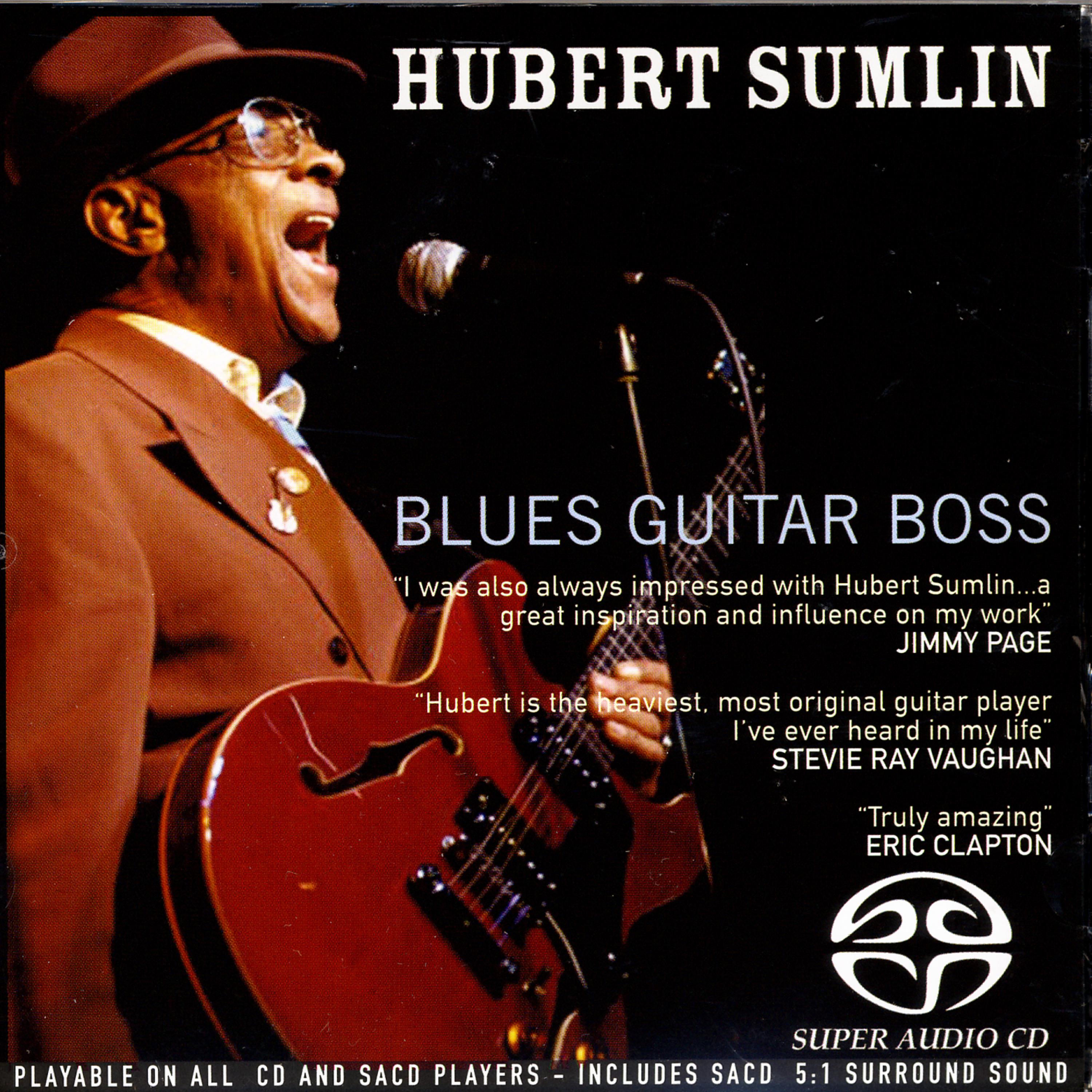 Постер альбома Blues Guitar Boss