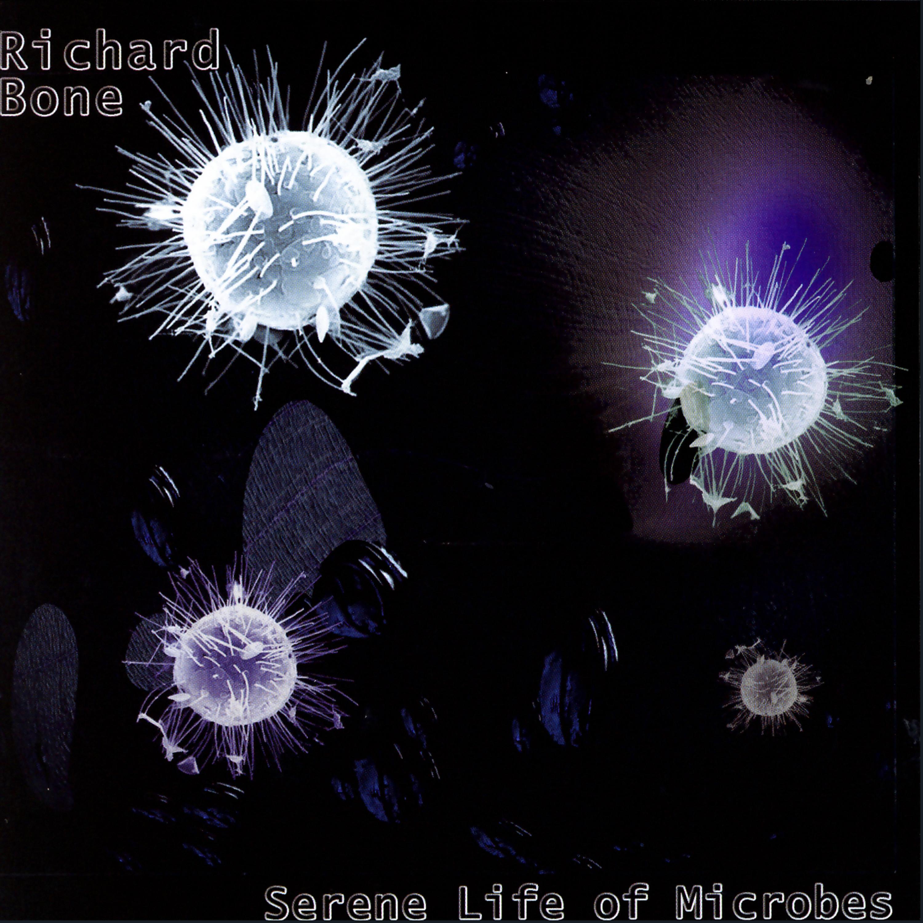 Постер альбома Serene Life of Microbes