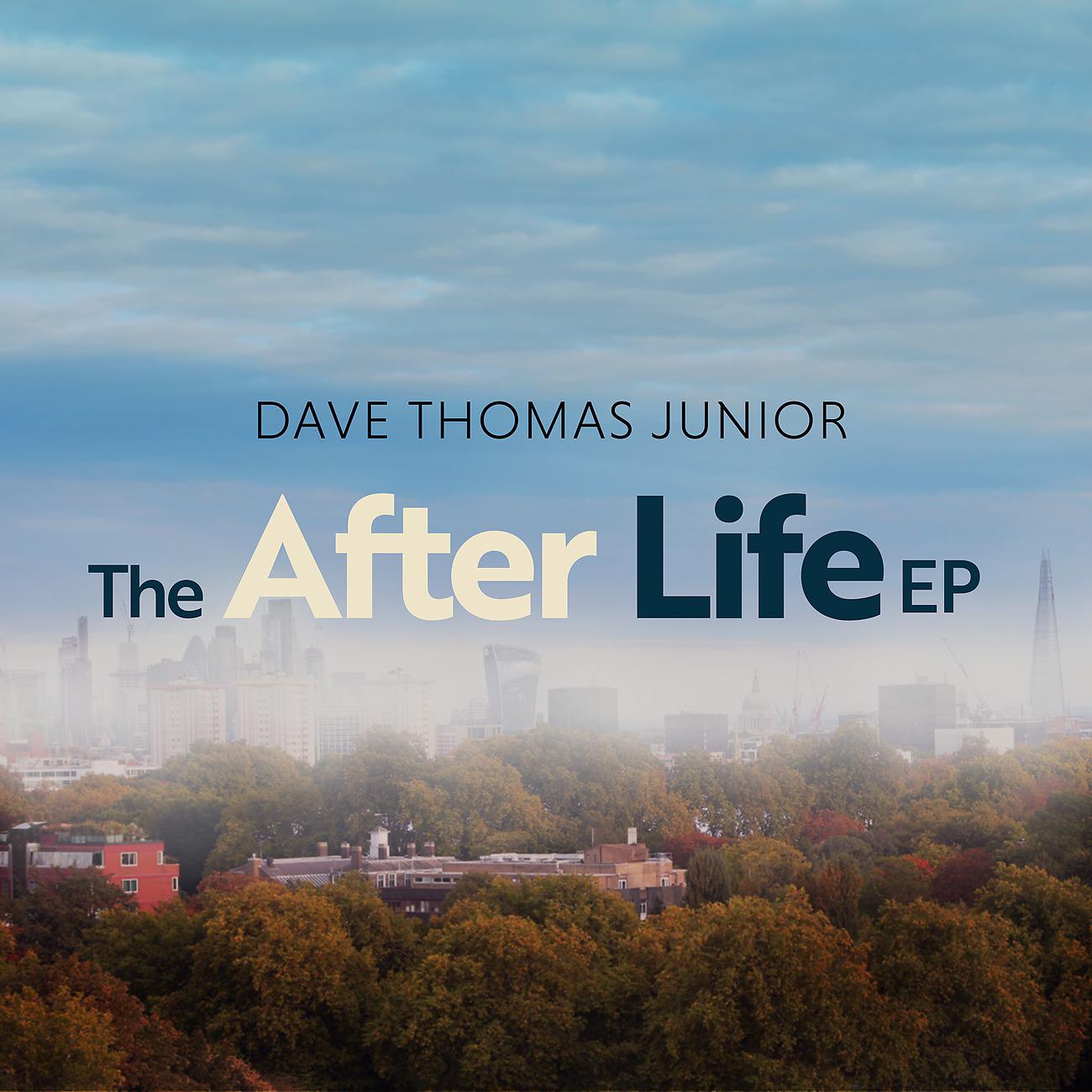 Постер альбома The After Life EP