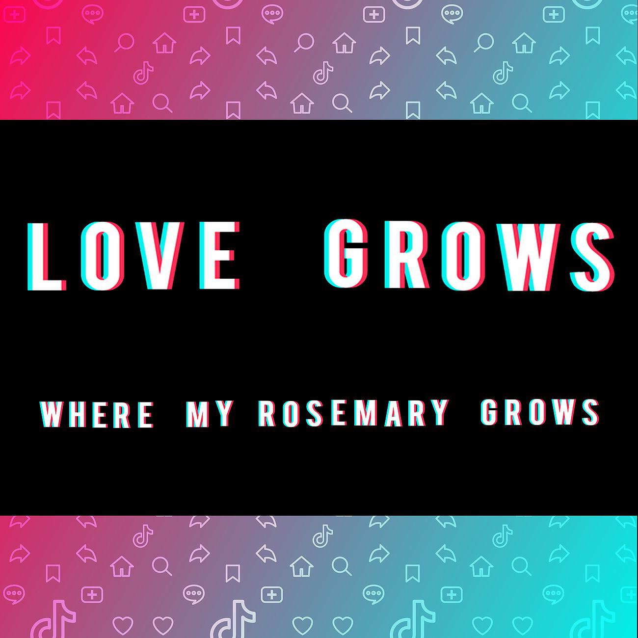 The Magic Time Travelers - Love Grows (Where My Rosemary Goes)