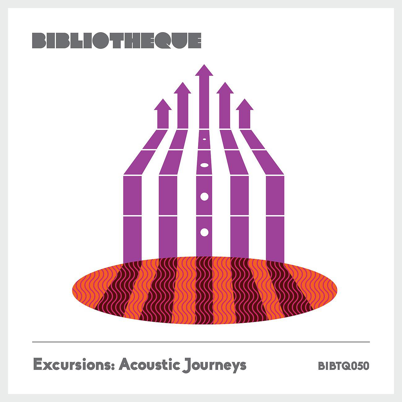 Постер альбома Excursions: Acoustic Journeys