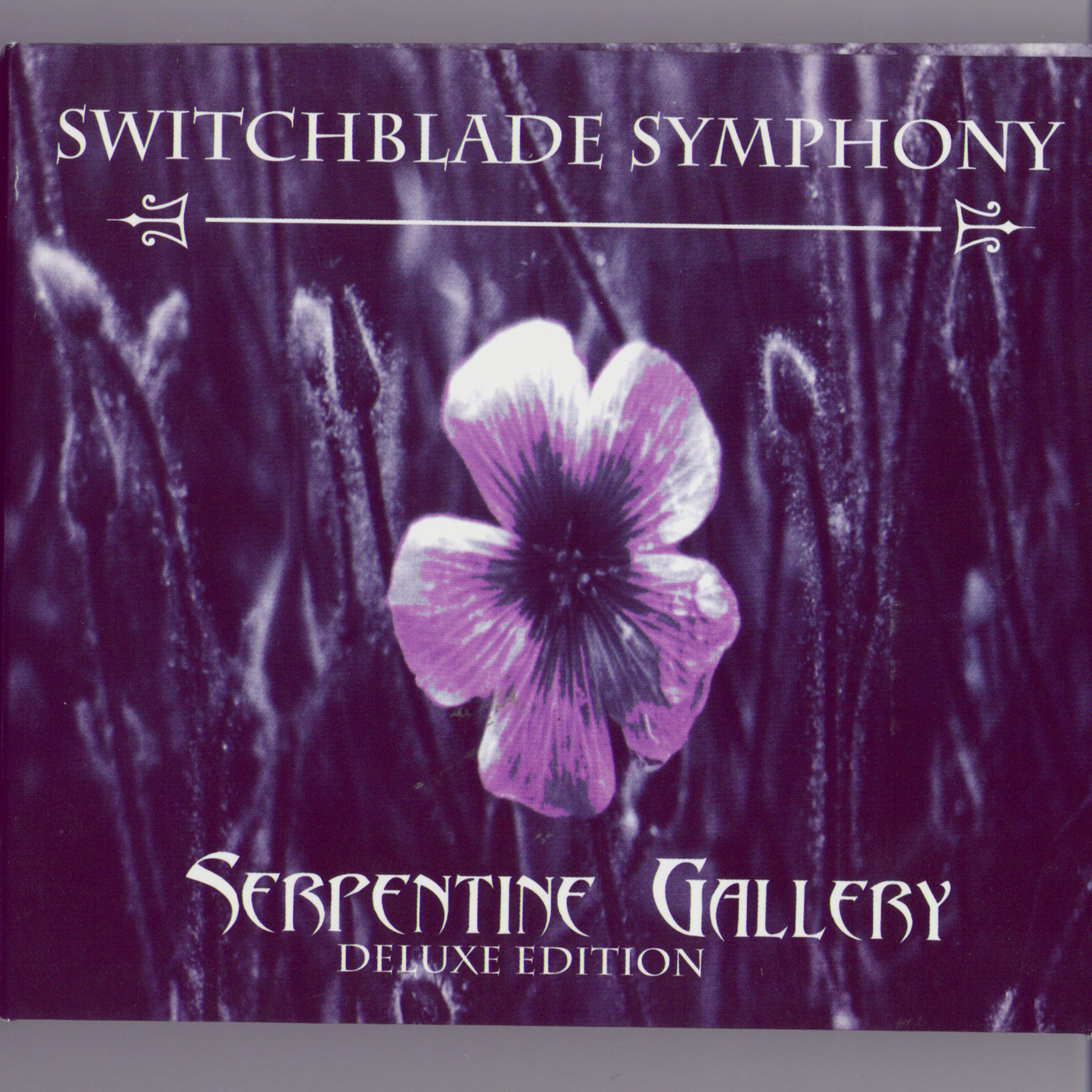 Постер альбома Serpentine Gallery - Deluxe 2005 Edition