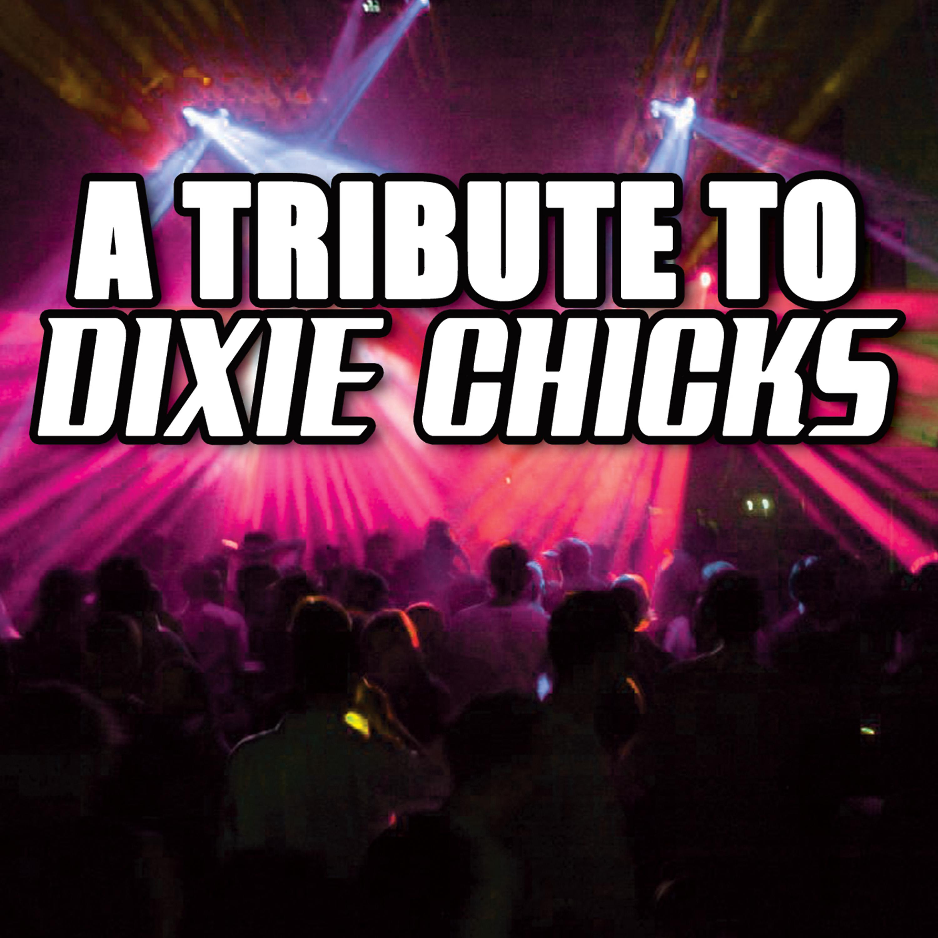 Постер альбома A Tribute To Dixie Chicks