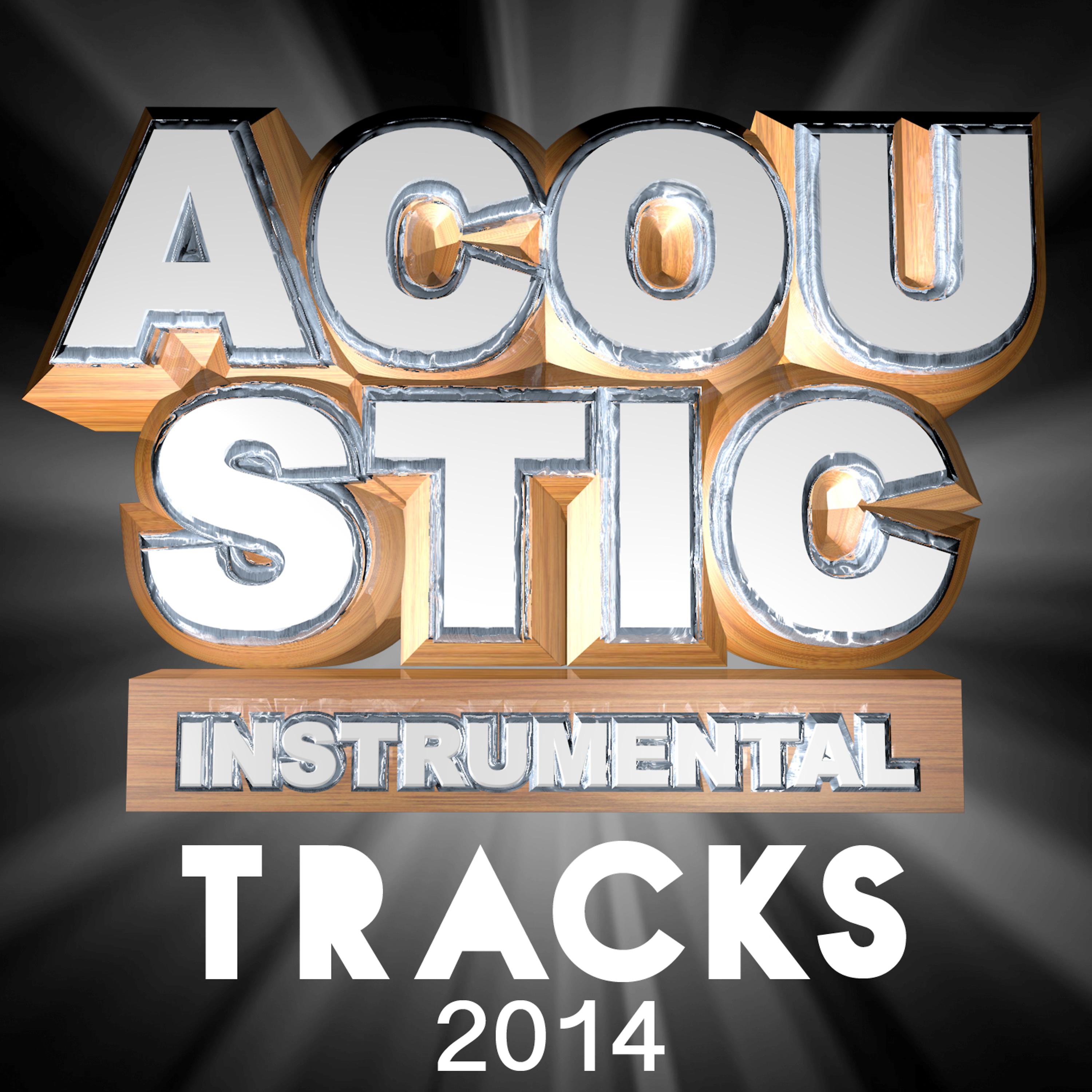Постер альбома Acoustic Instrumental Tracks 2014