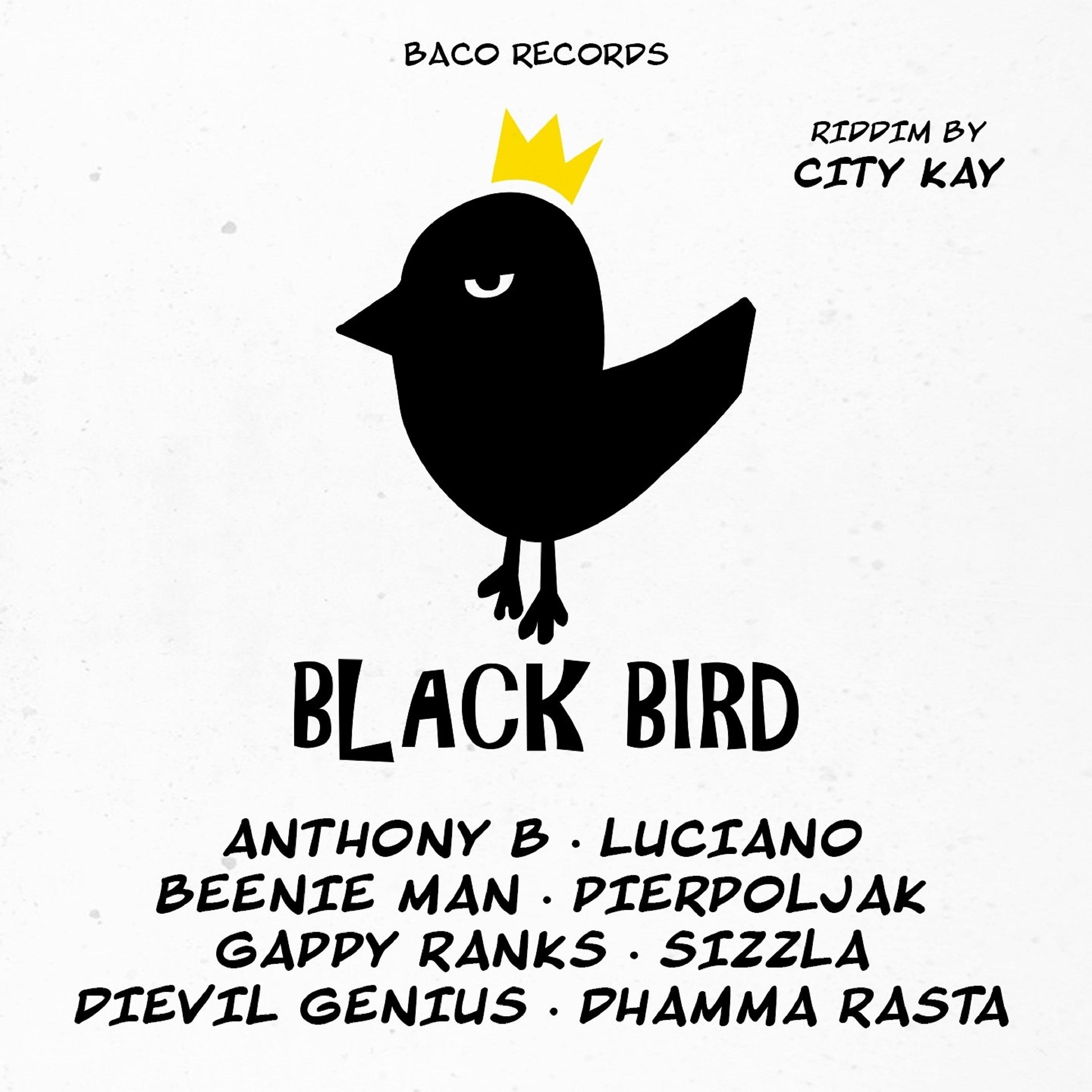 Постер альбома Black Bird Riddim by City Kay