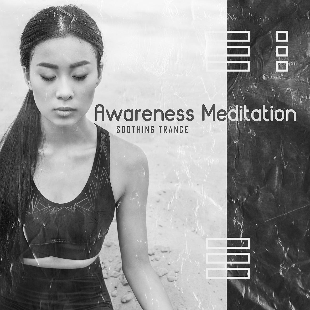Постер альбома Awareness Meditation