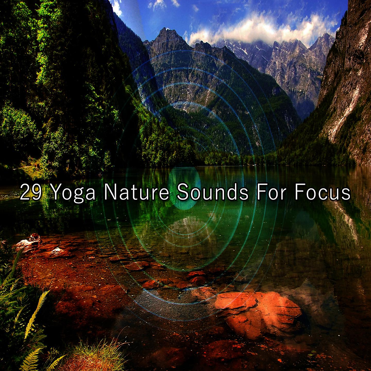 Постер альбома 29 звуков природы йоги для концентрации