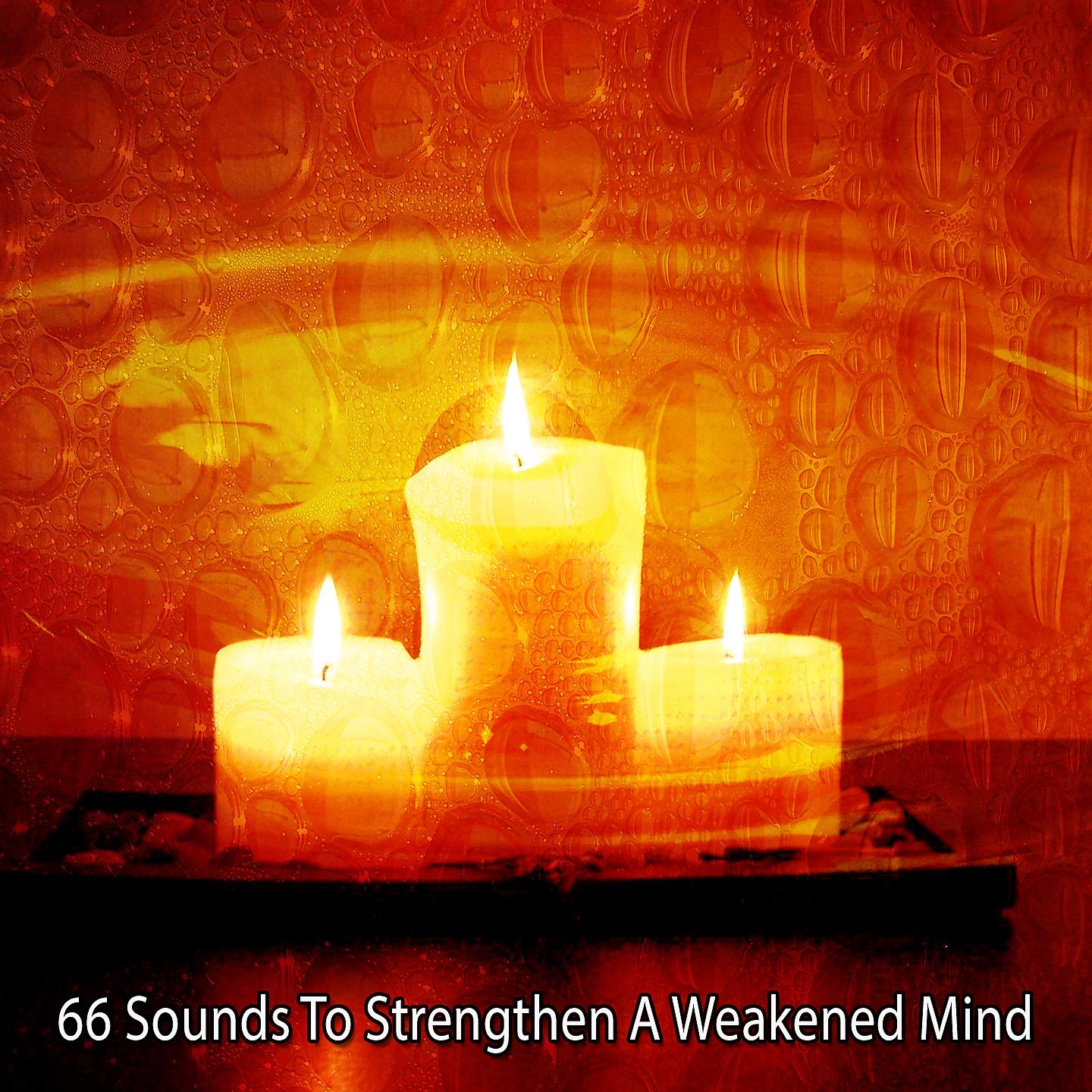 Постер альбома 66 звуков для укрепления ослабленного ума