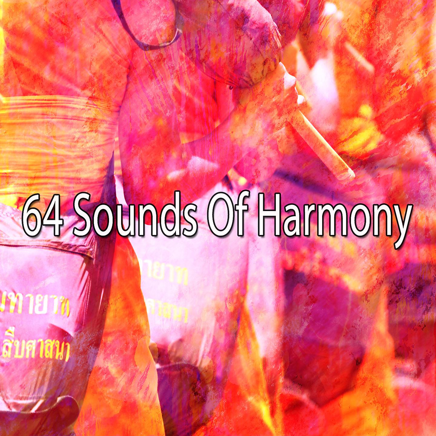 Постер альбома 64 звука гармонии