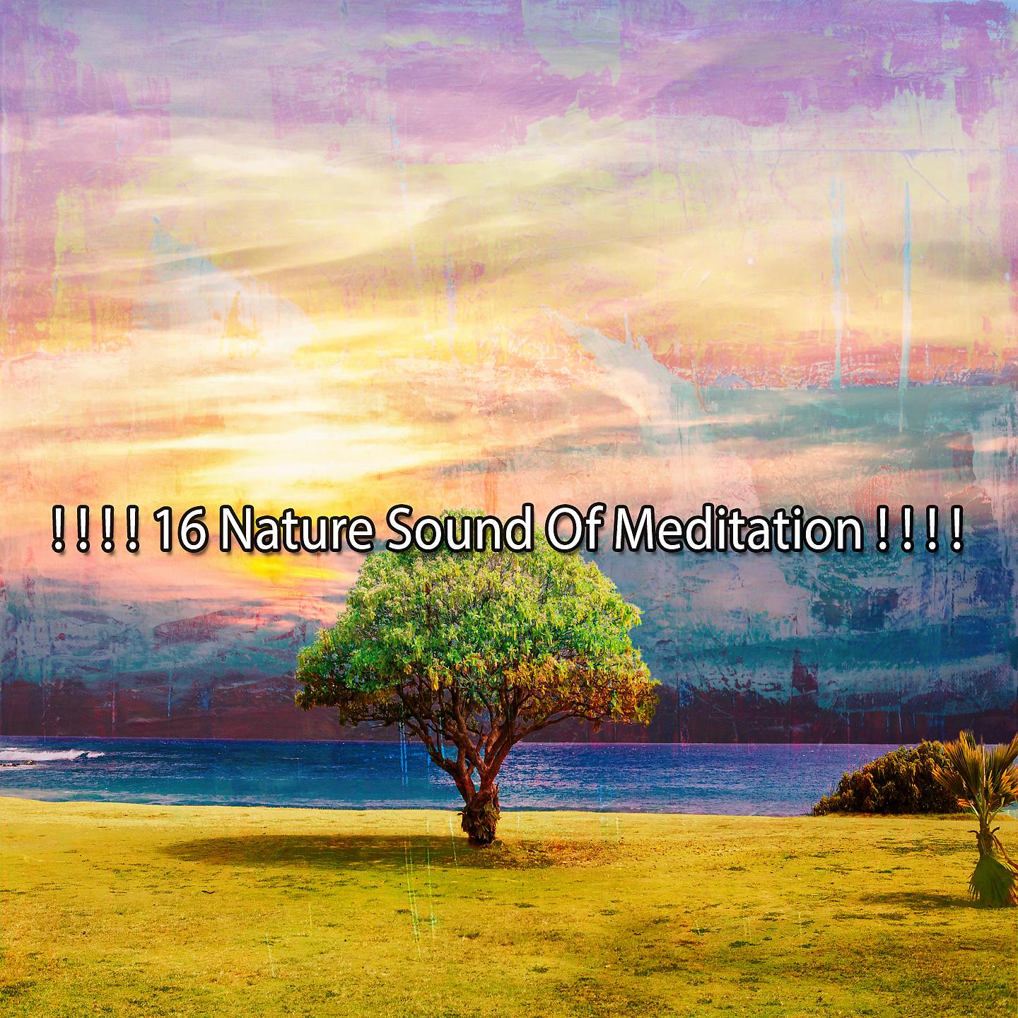 Постер альбома ! ! ! ! 16 Природные звуки медитации! ! ! !