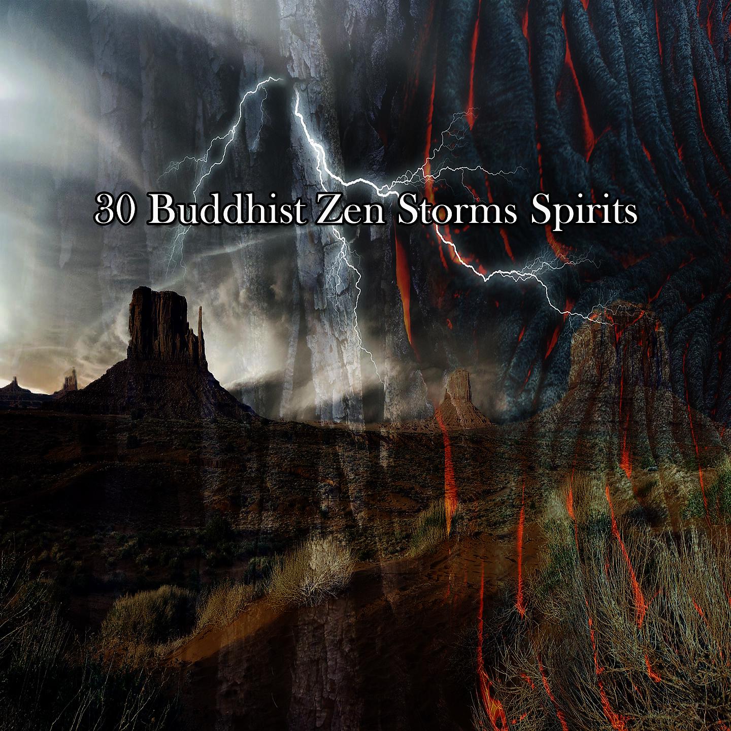 Постер альбома 30 буддийских духов дзен-штормов