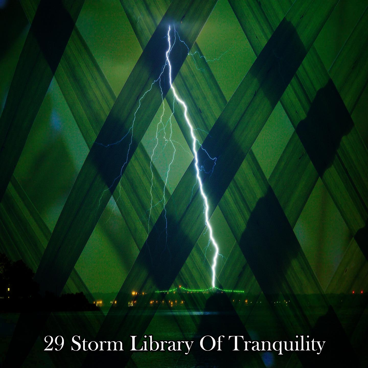 Постер альбома 29 Штормовая Библиотека Спокойствия