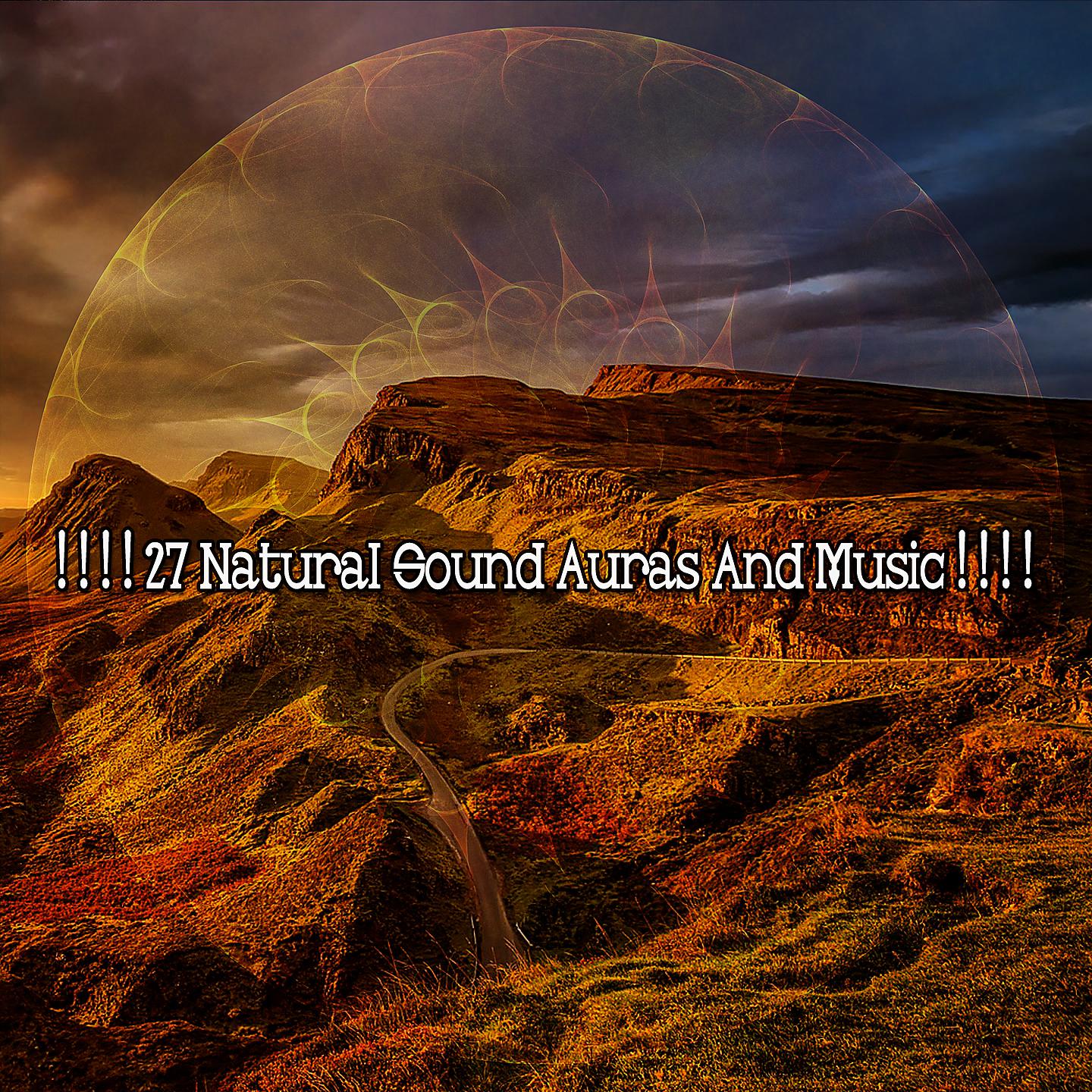 Постер альбома ! ! ! ! 27 природных звуковых аур и музыки! ! ! !