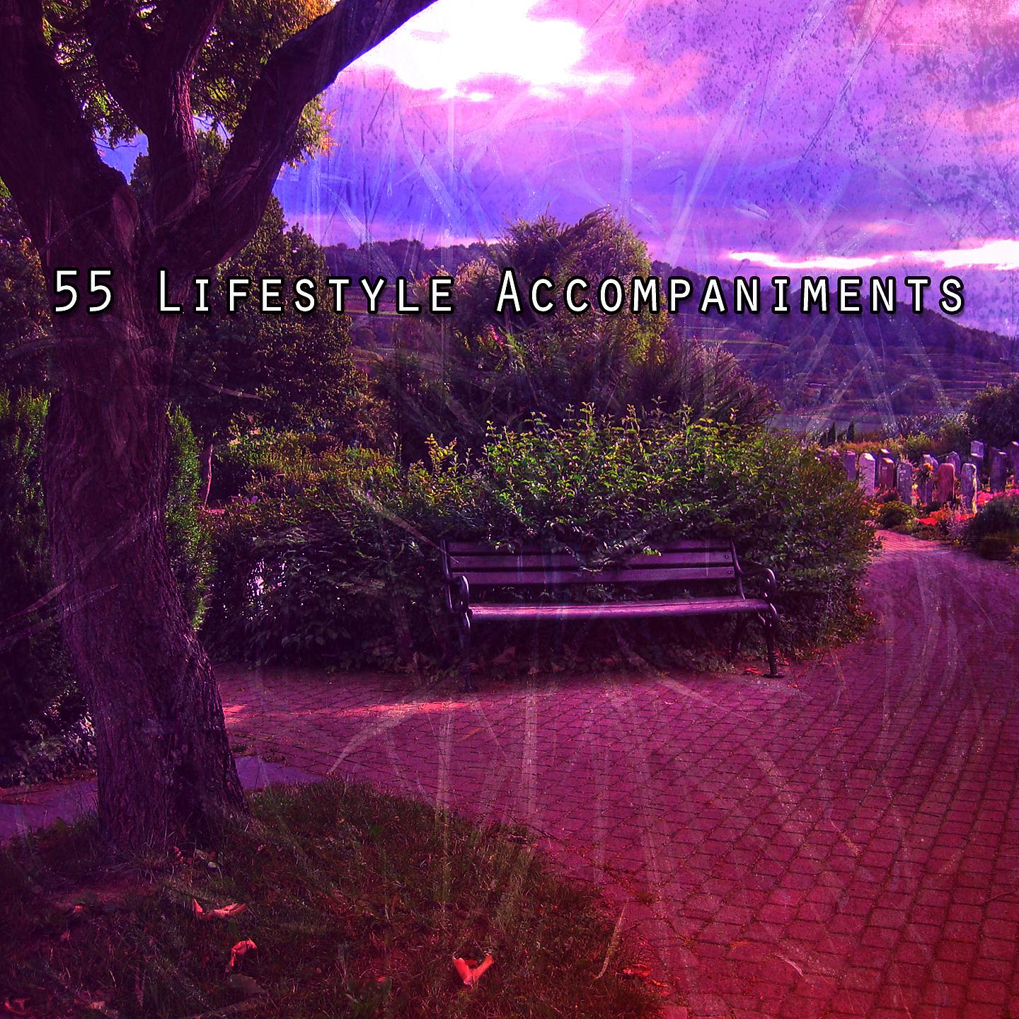 Постер альбома 55 лайфстайл-аккомпанементов