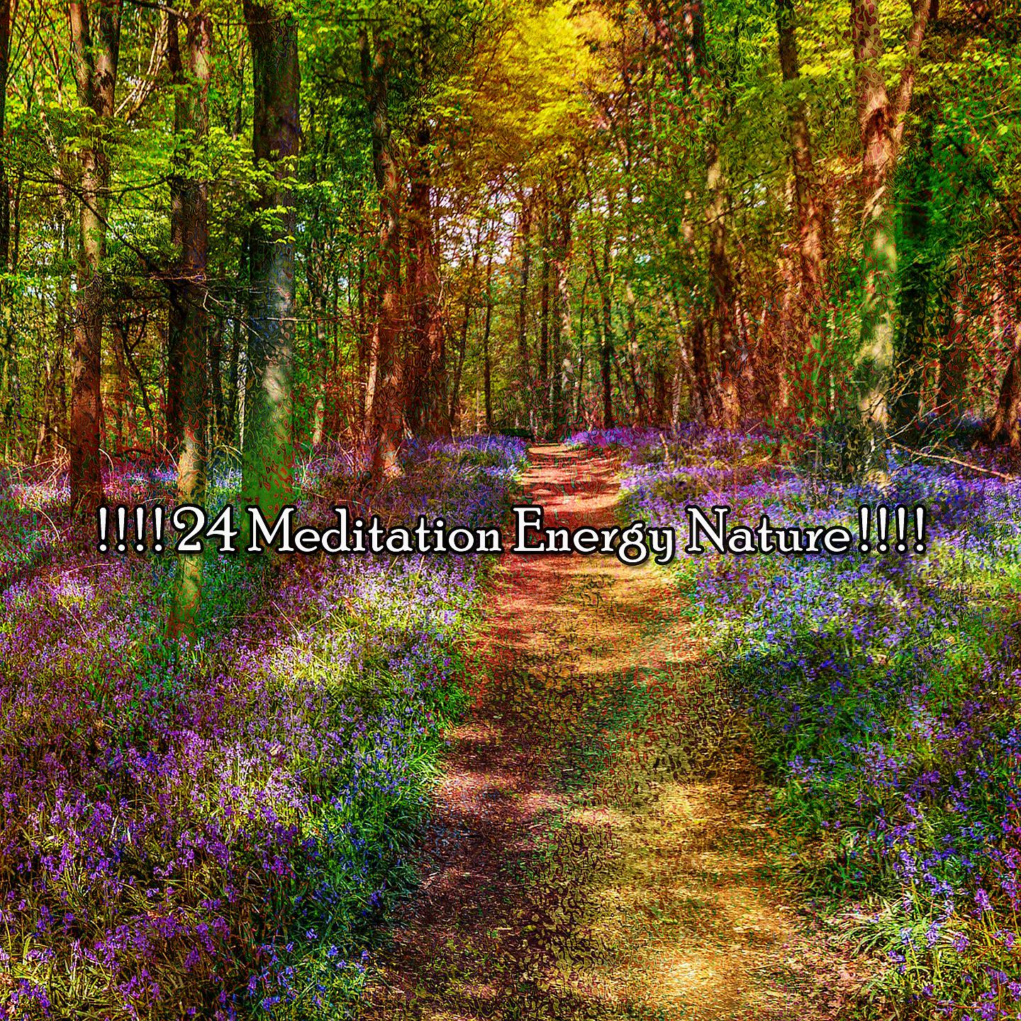 Постер альбома ! ! ! ! 24 Медитация Энергия Природы! ! ! !