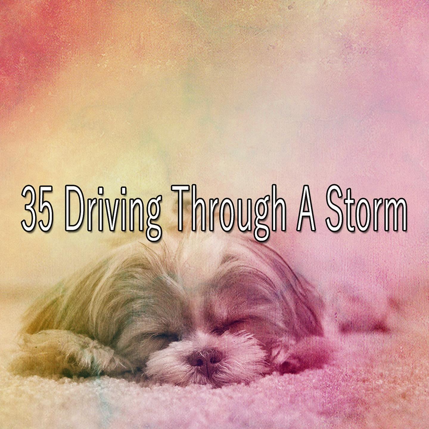 Постер альбома 35 Вождение через шторм