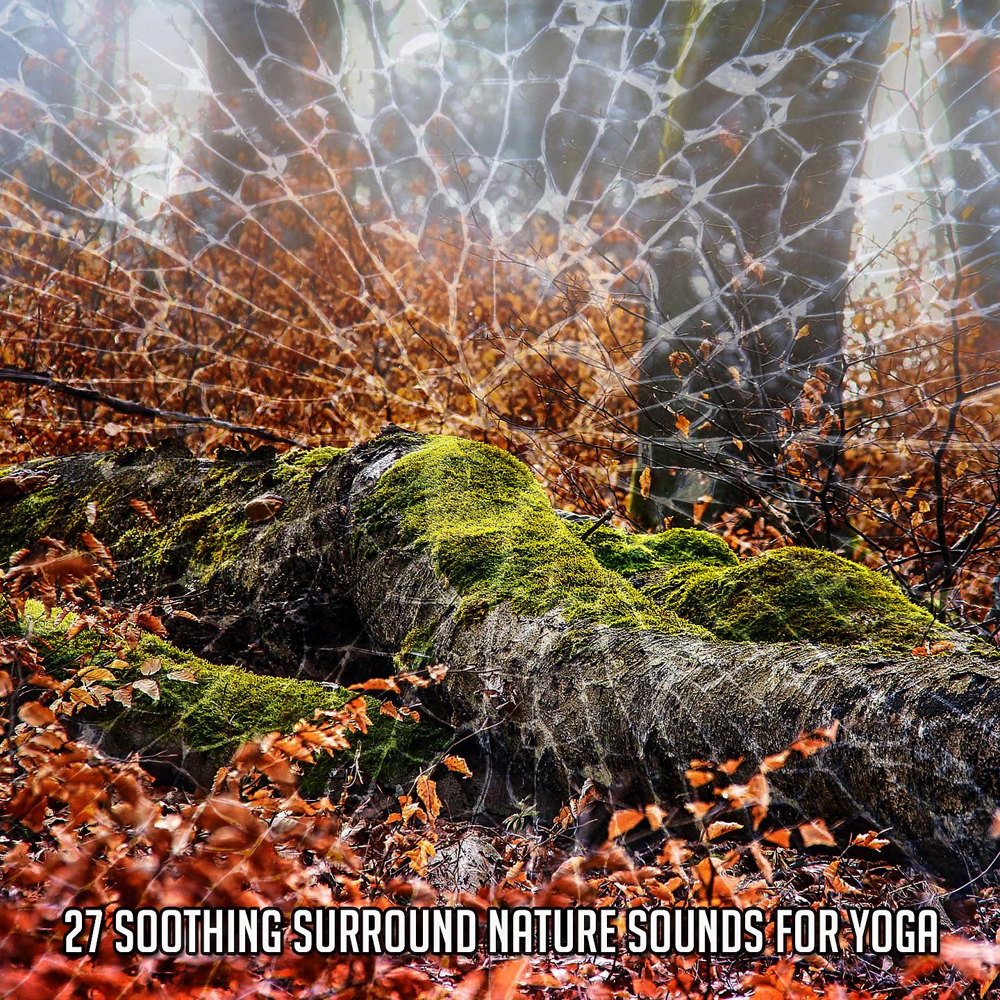 Постер альбома 27 успокаивающих звуков природы для занятий йогой