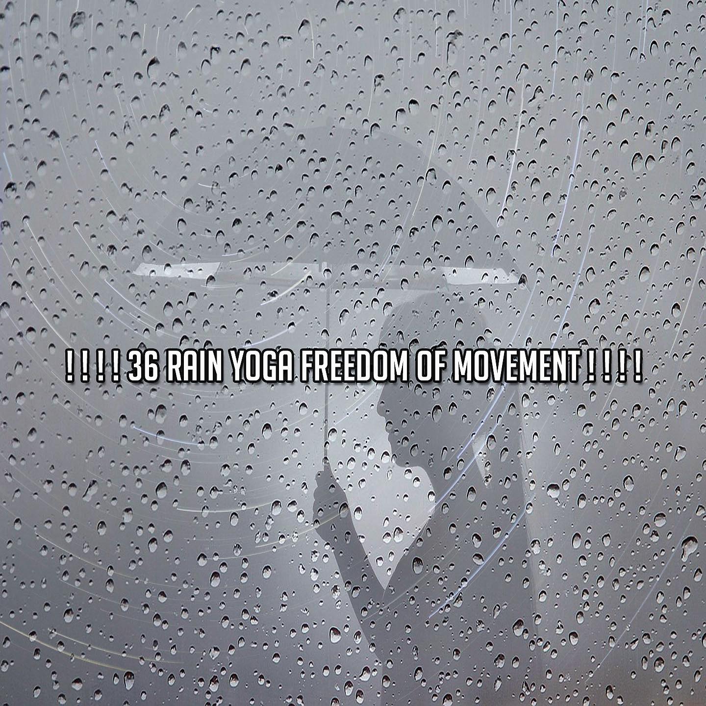 Постер альбома ! ! ! ! 36 Йога дождя Свобода движений! ! ! !