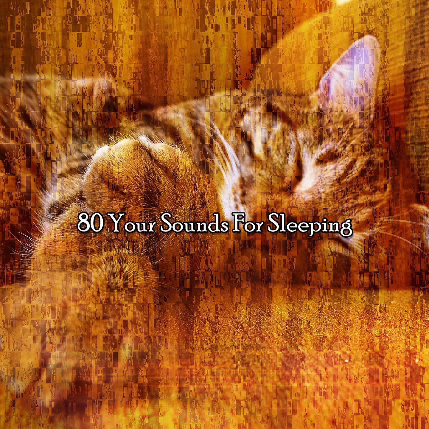 Постер альбома 80 Ваши звуки для сна