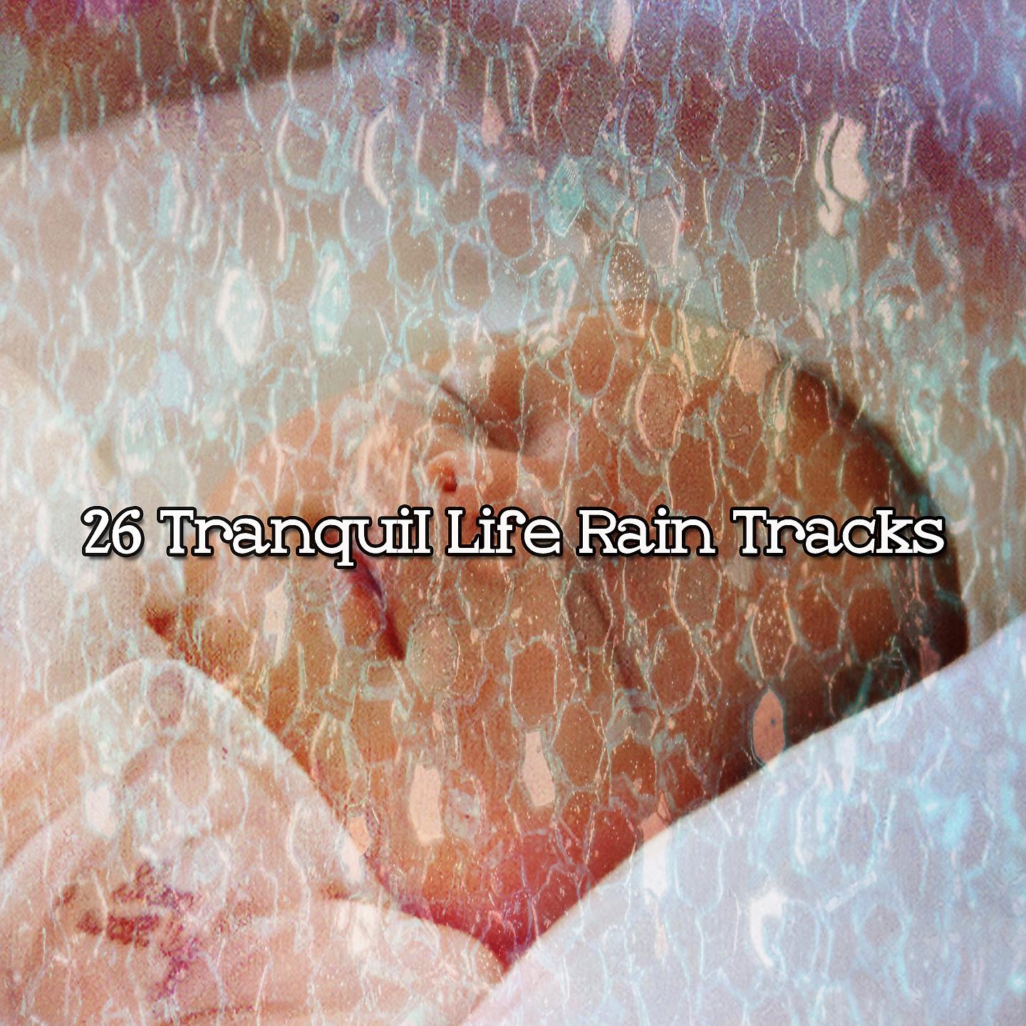Постер альбома 26 треков дождя безмятежной жизни