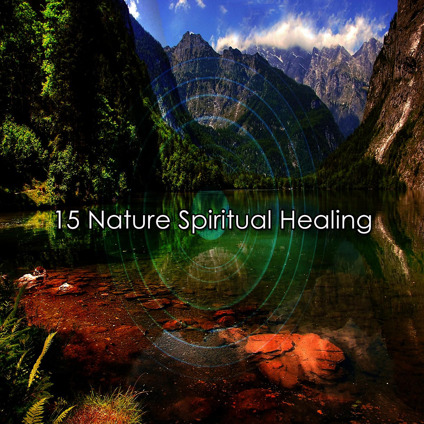 Постер альбома 15 Природа Духовное исцеление
