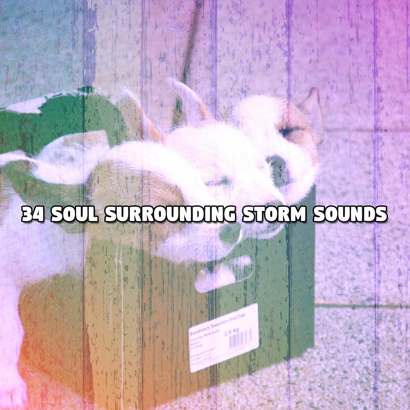 Постер альбома 34 звука бури, окружающие душу